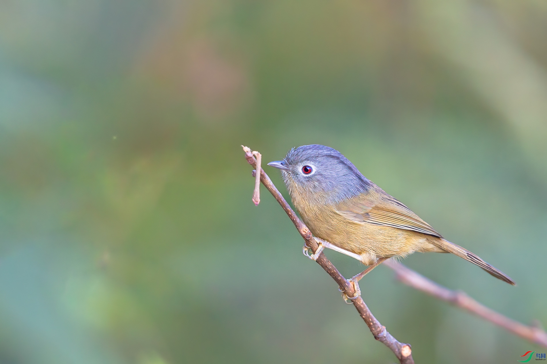 AQ4P0673-1.jpg