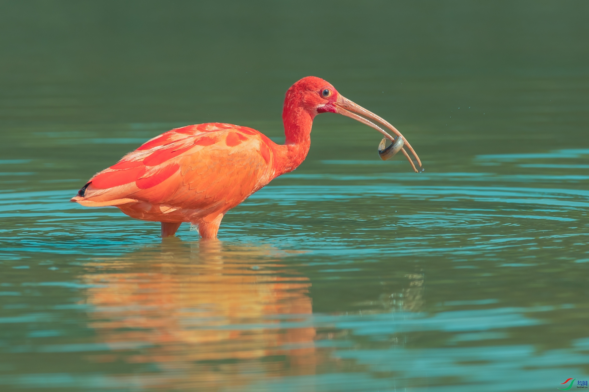 B86I5583 _����.jpg