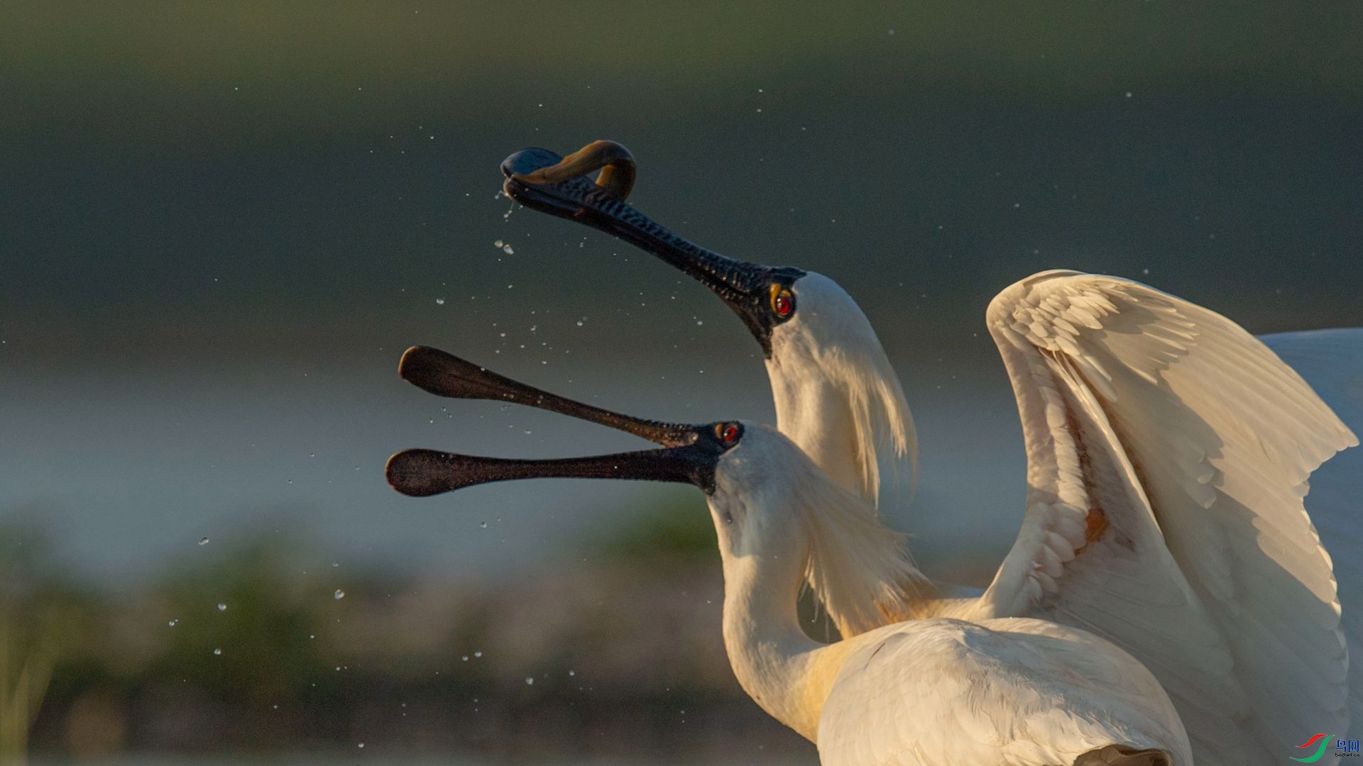 ���� ҹ�� �����ү.jpg