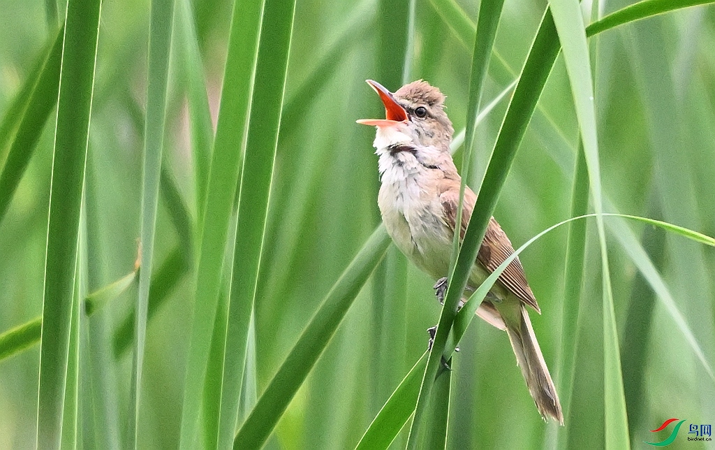 DSC_3686.JPG