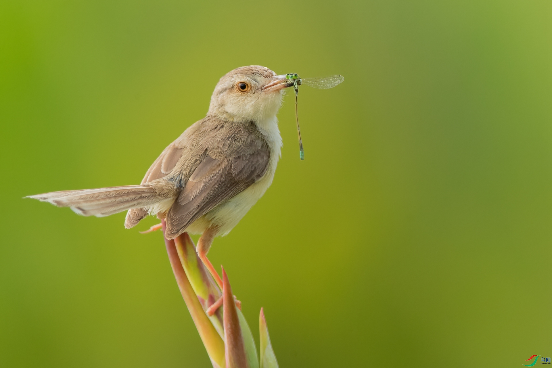 B86I9519 _����.jpg