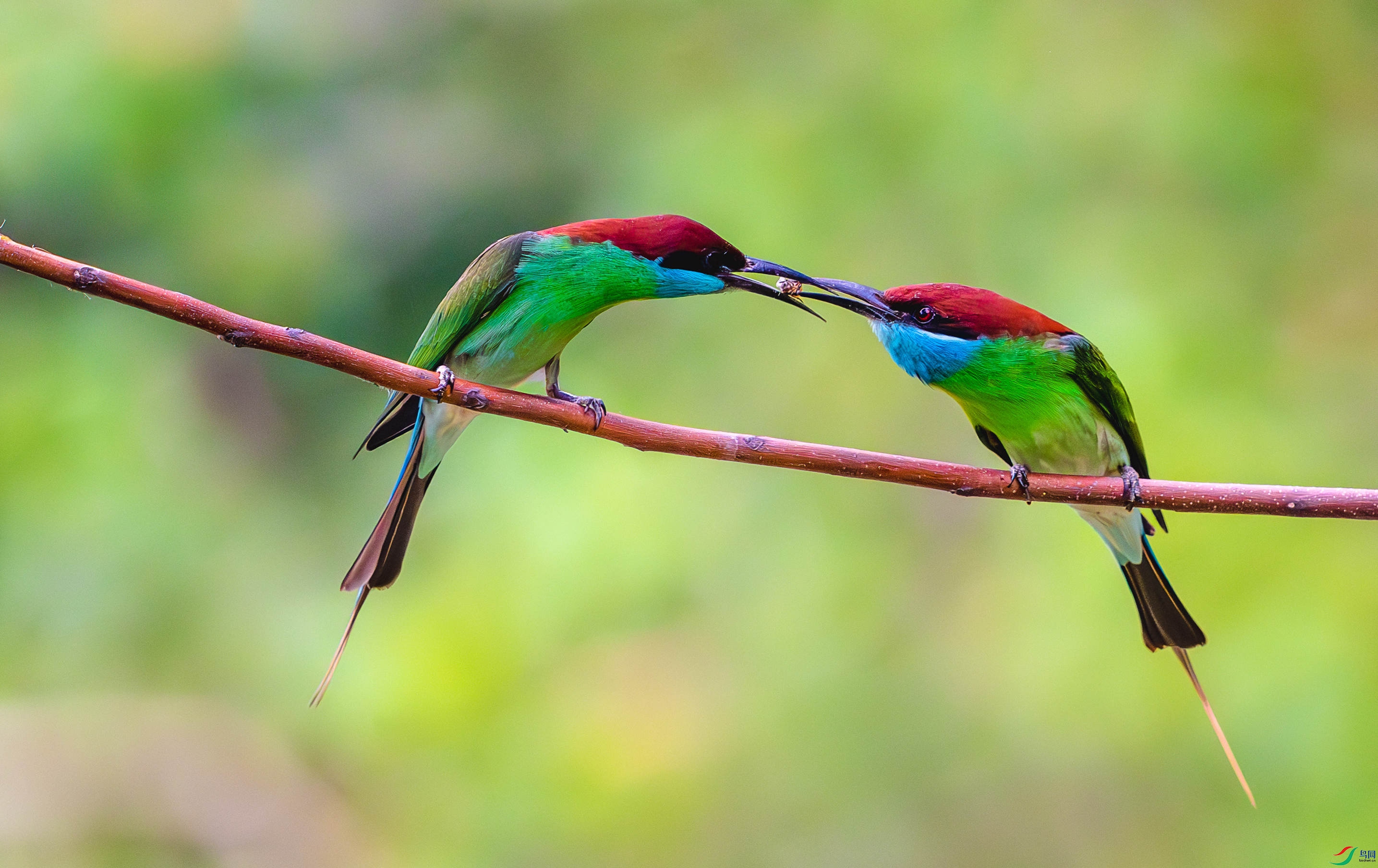 _DSC4855 (2)-����ǿ-NR_3 - ����.JPG