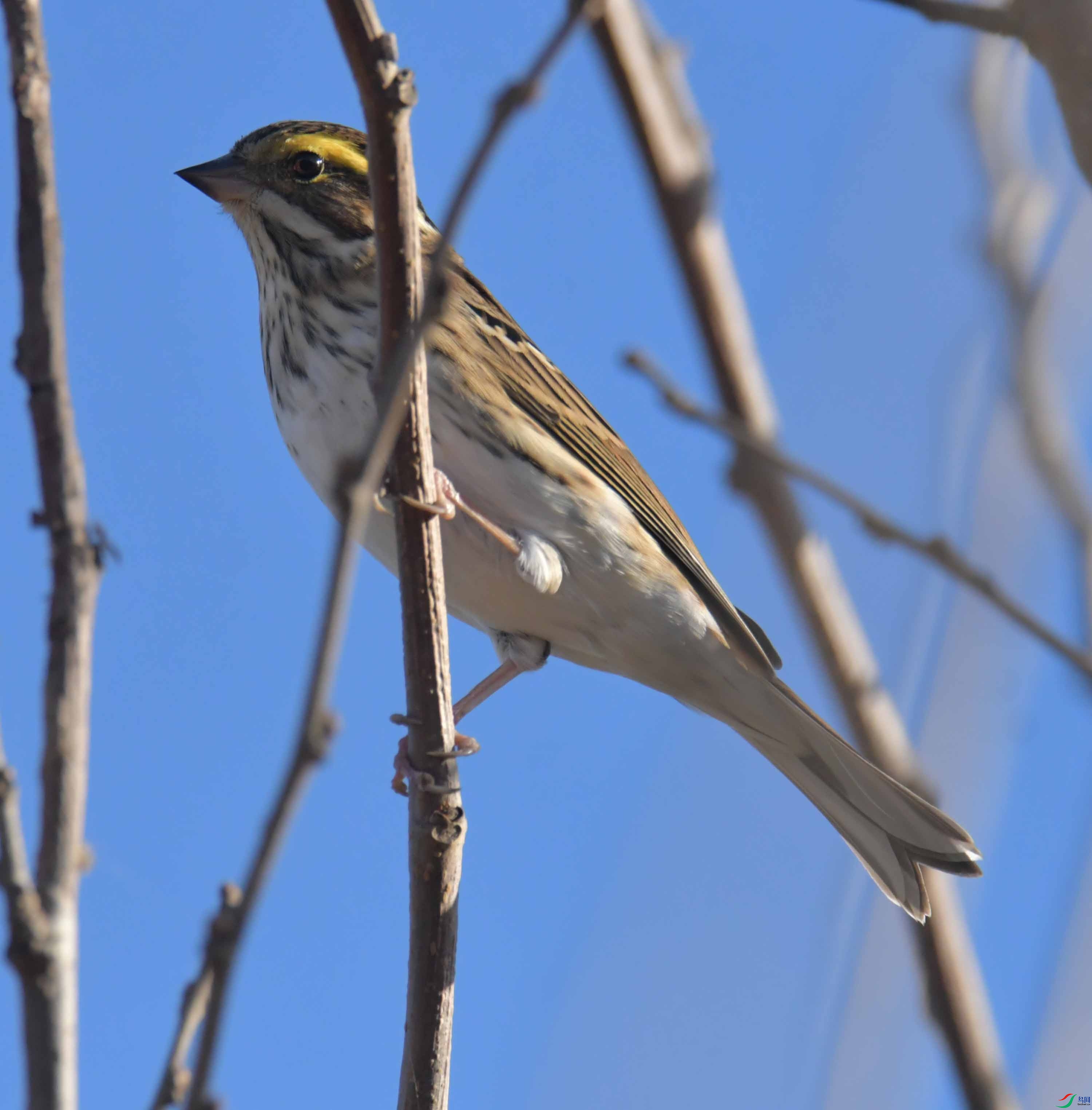 DSC_2079.JPG