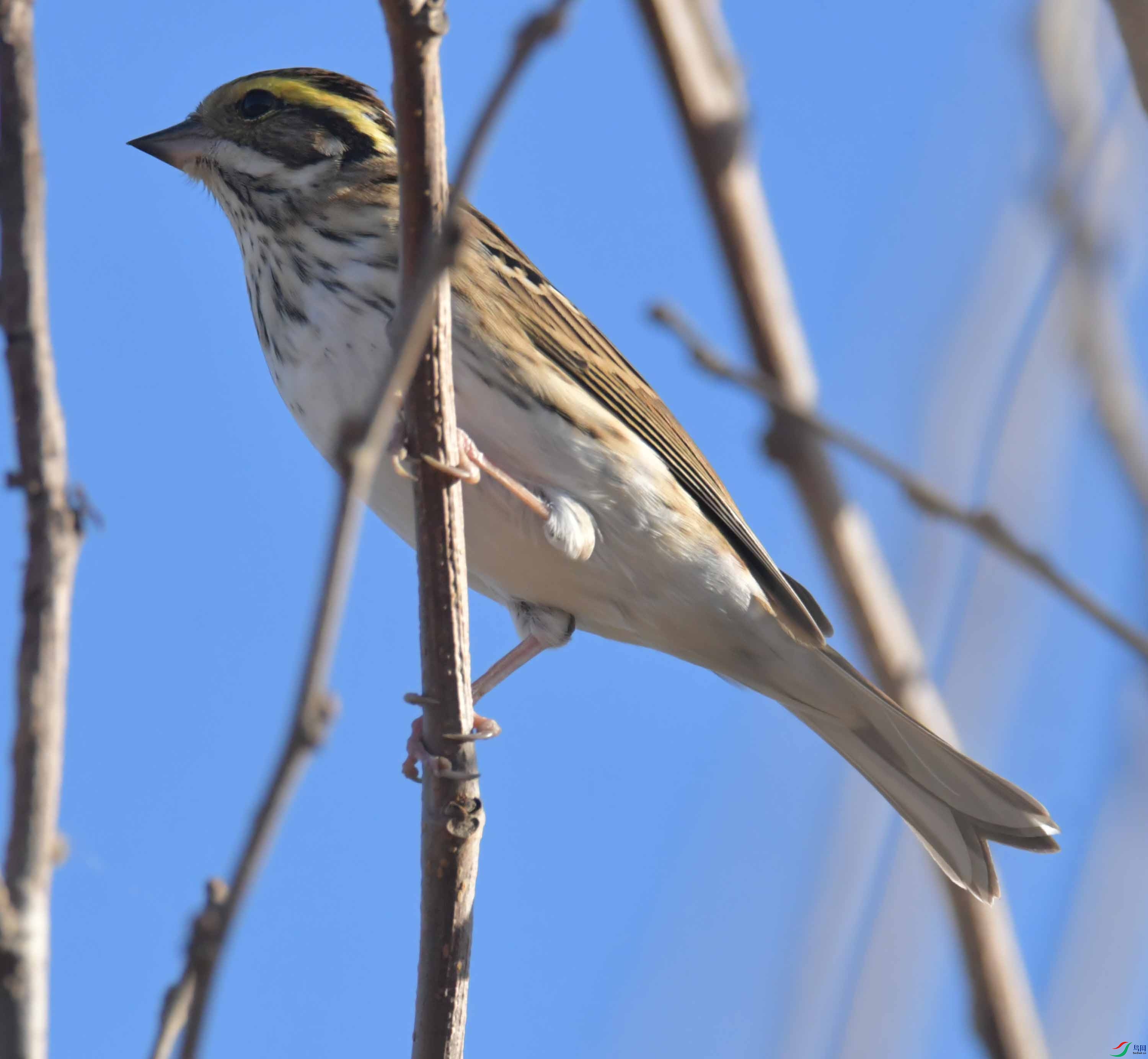 DSC_2078.JPG