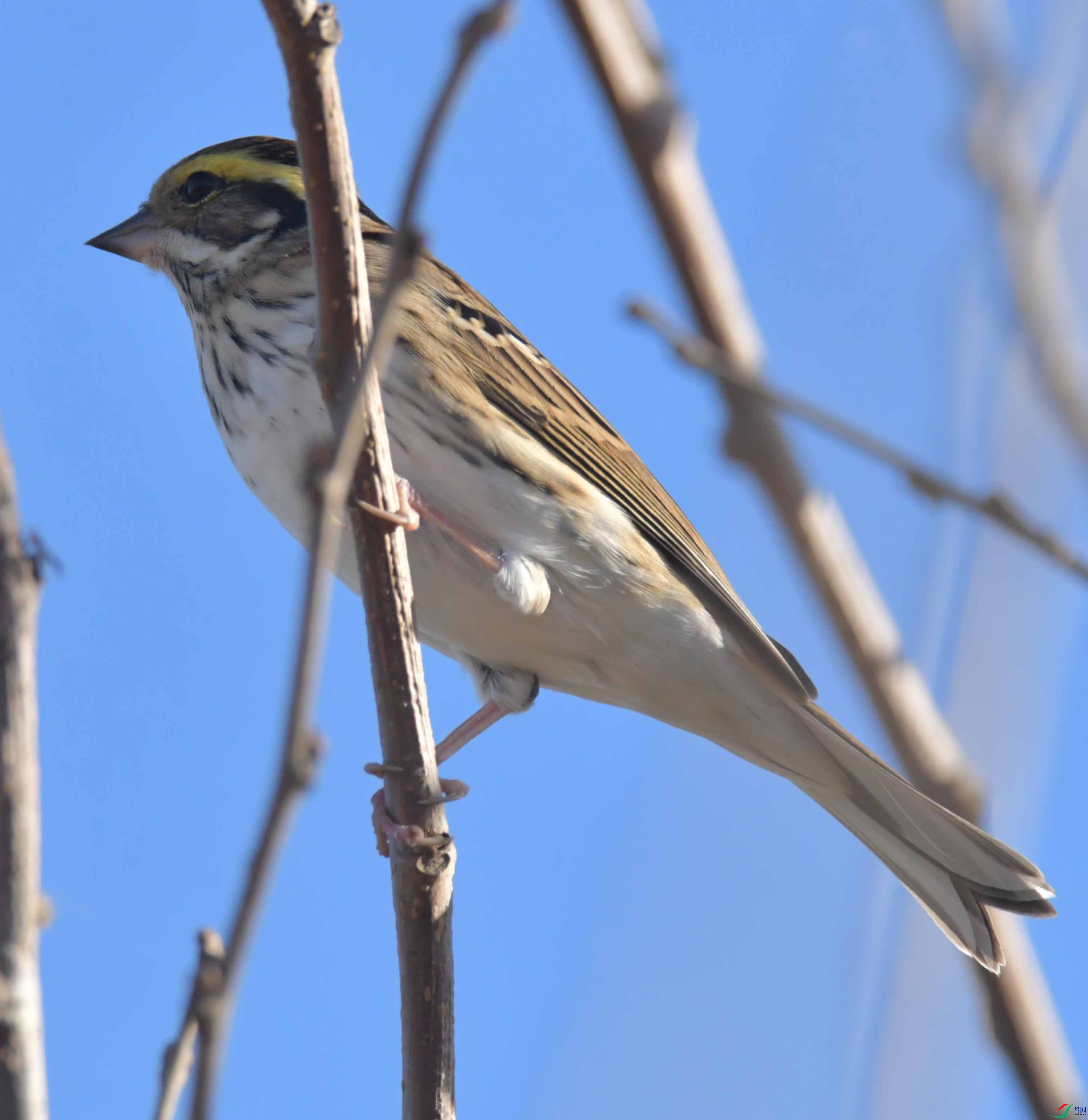 DSC_2092.JPG