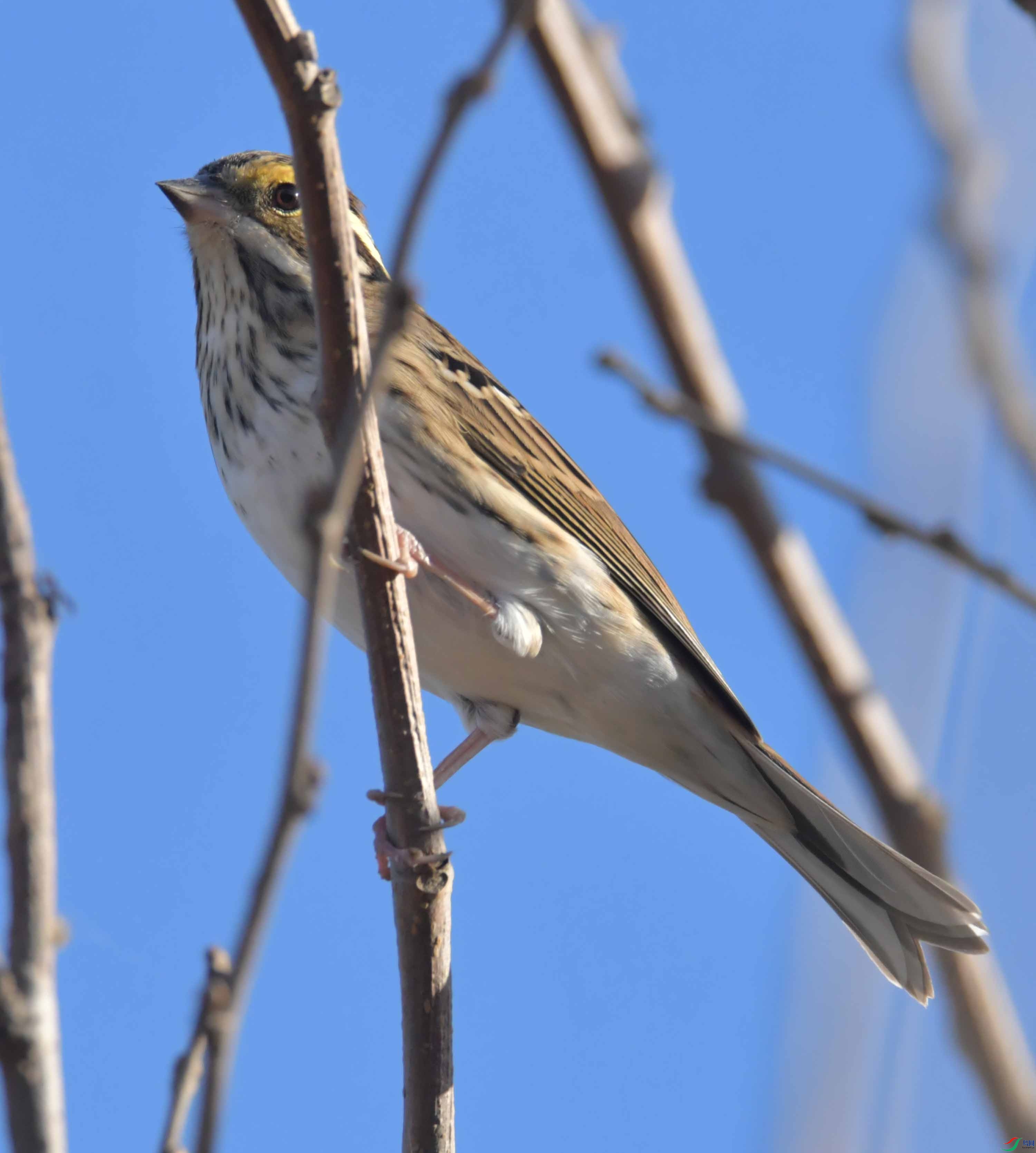 DSC_2104.JPG
