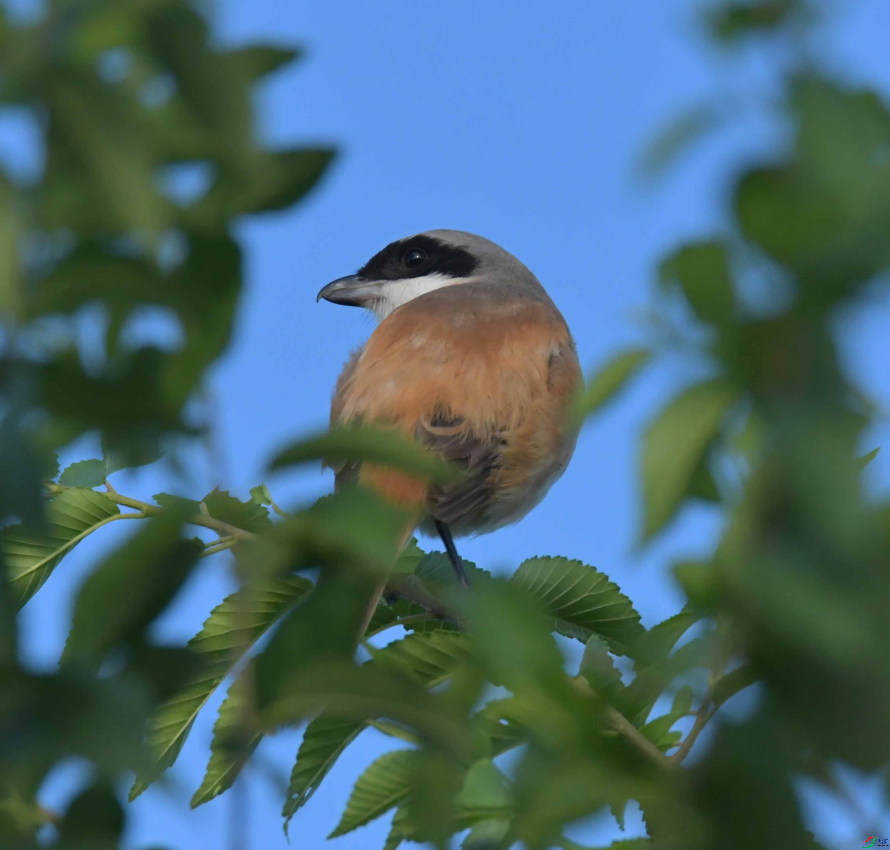 DSC_8366.JPG