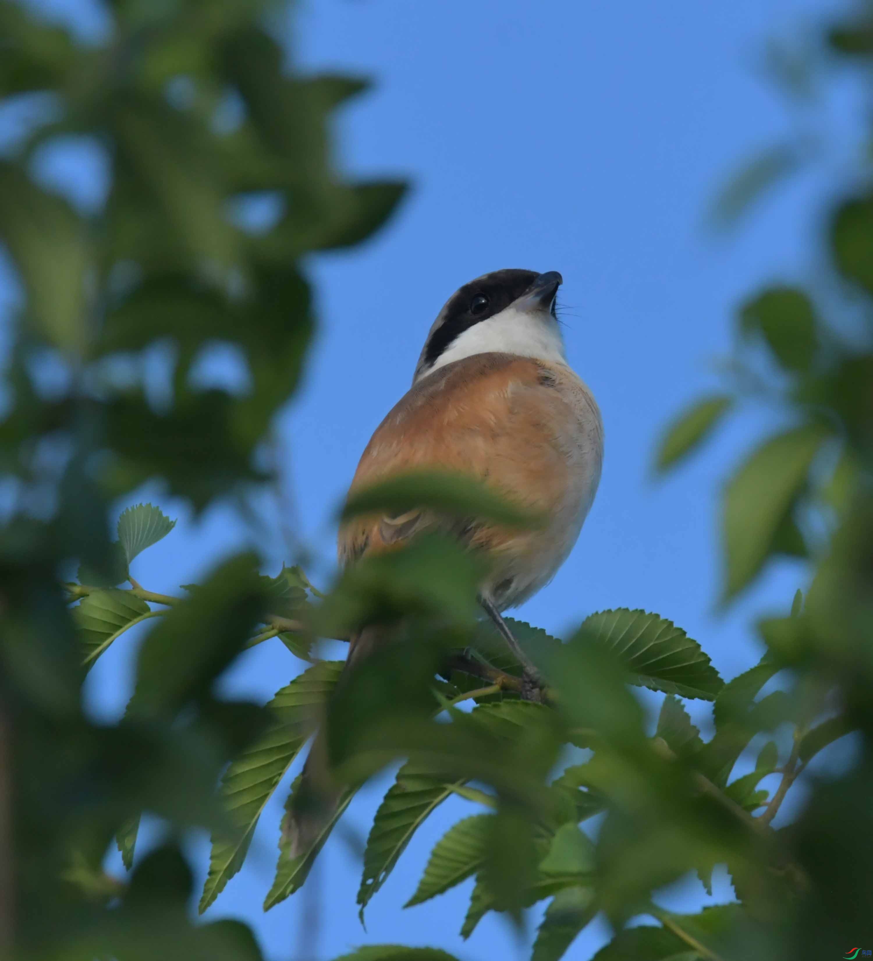 DSC_8363.JPG