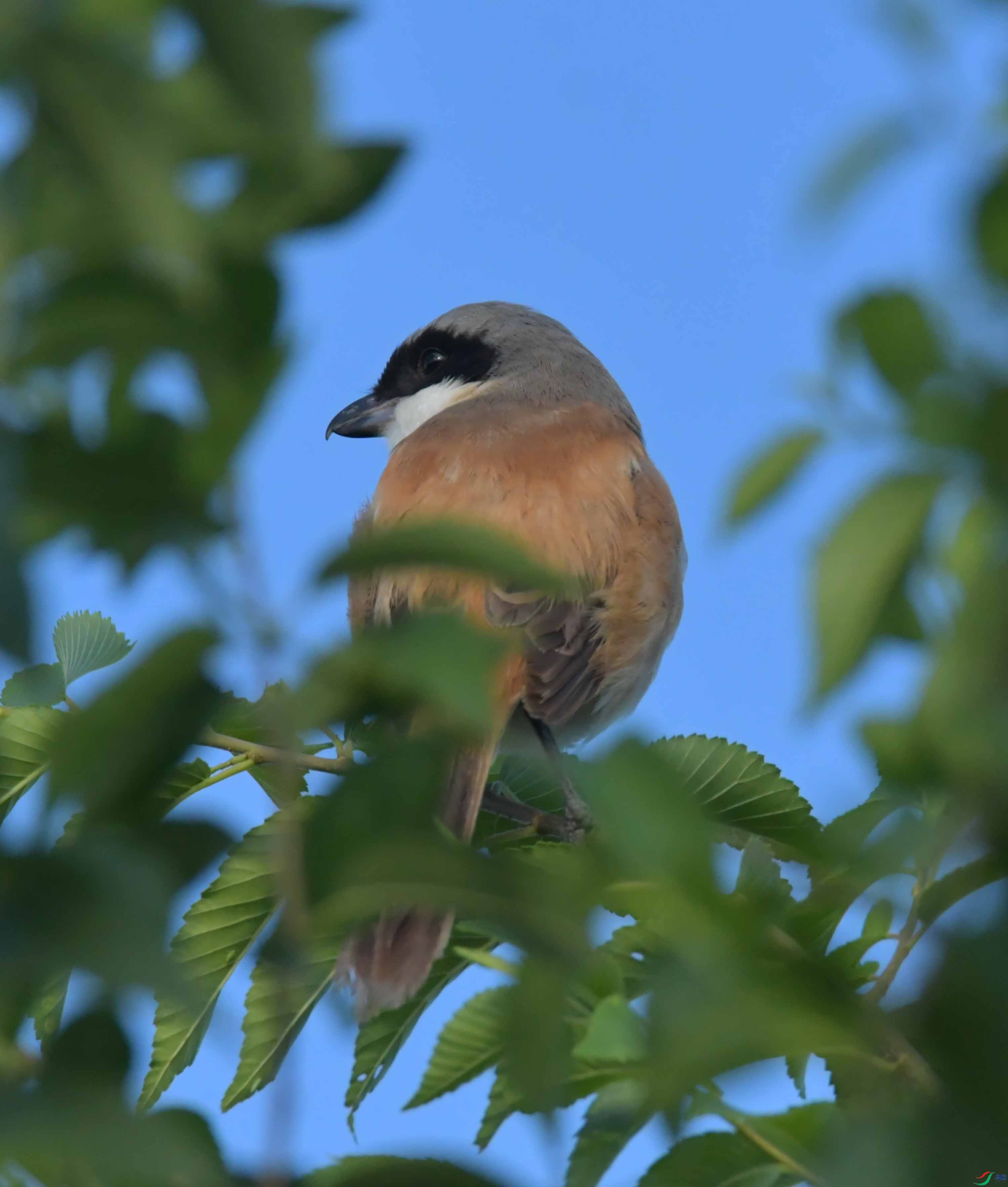DSC_8359.JPG