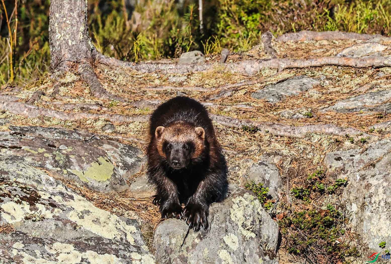 ��⵵�ëɫ��� ����.jpg