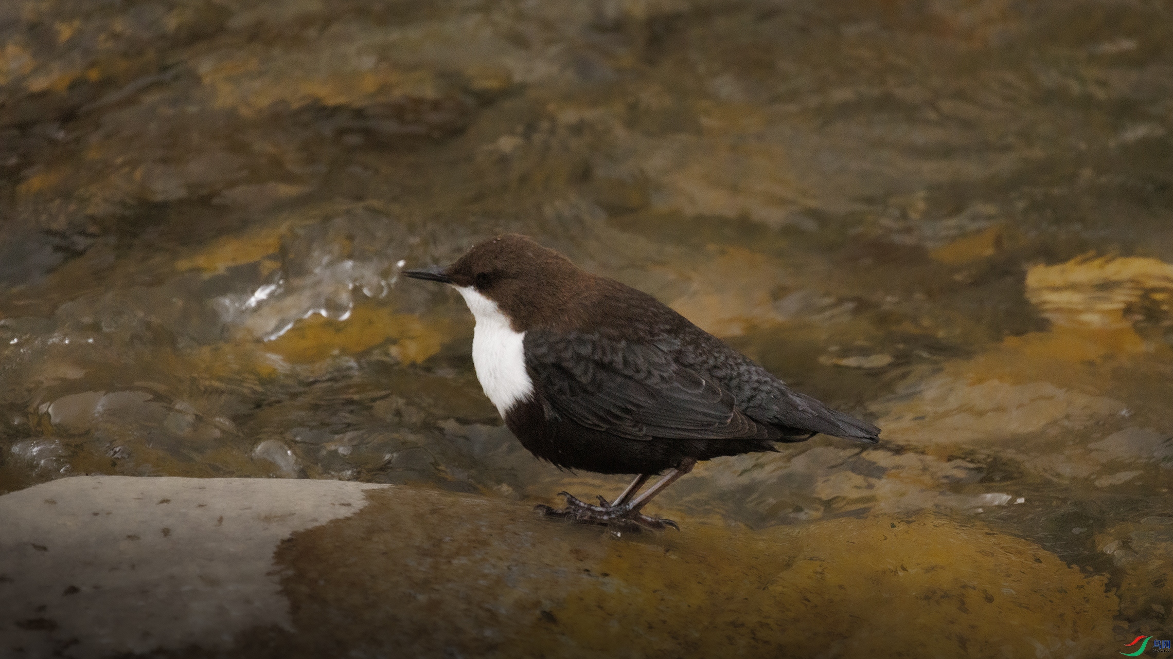 7X5A0093 ��333.jpg