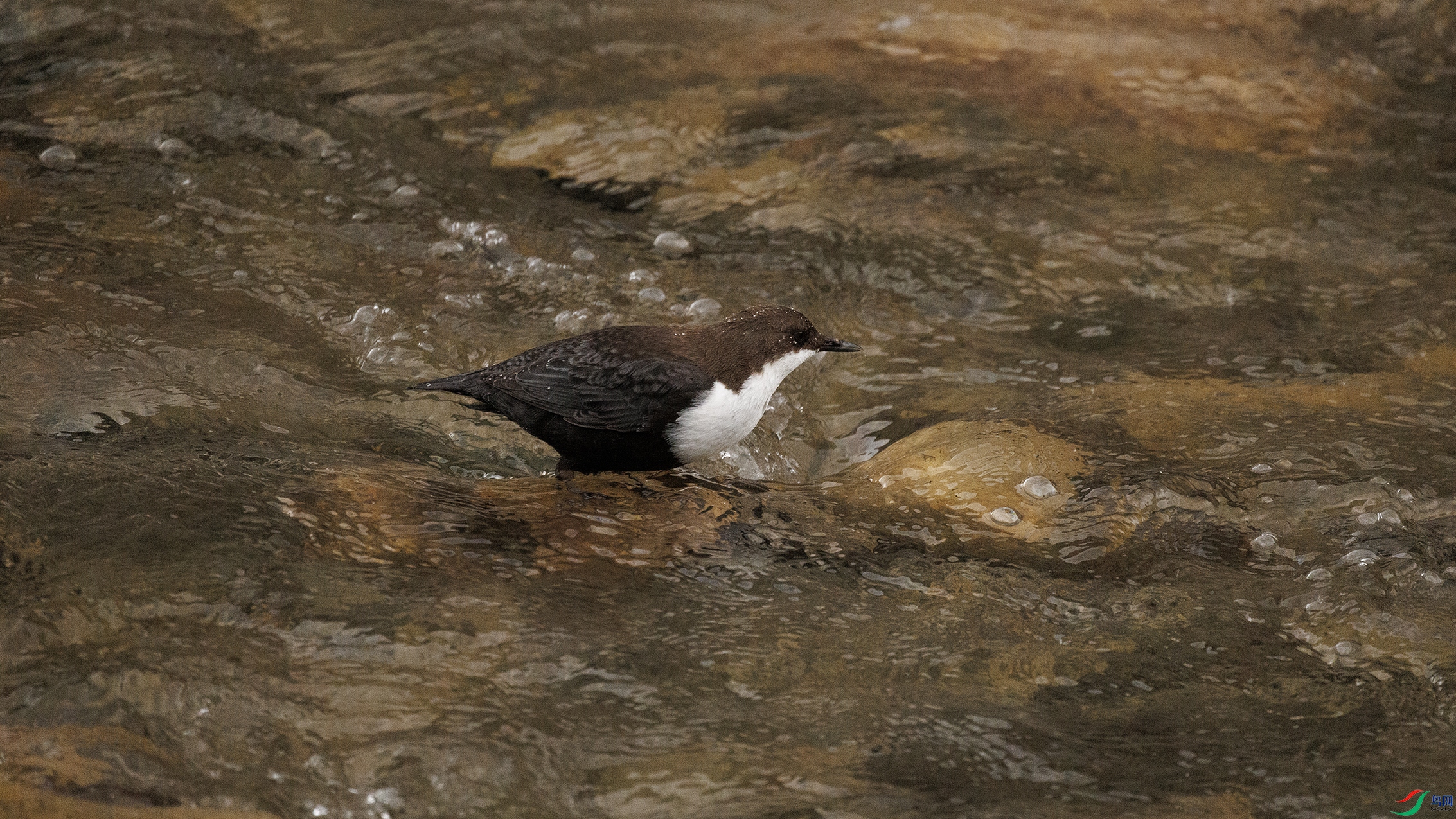 7X5A0022 ����2222.jpg