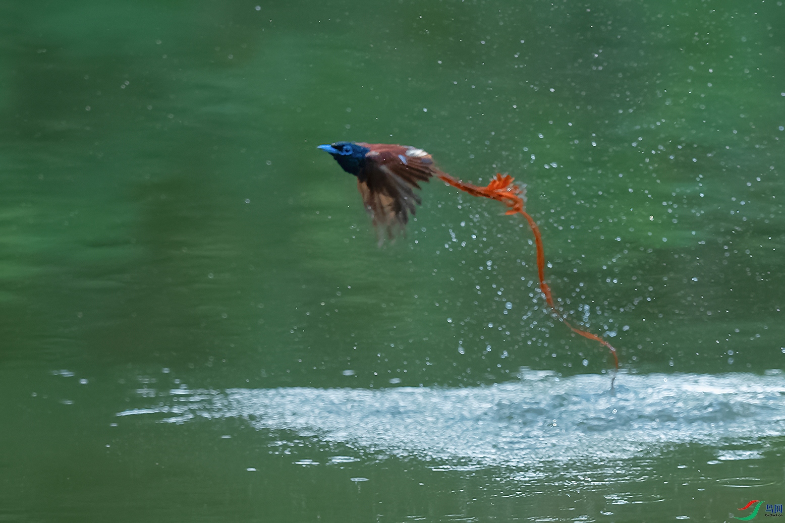 DSC_3584_DxOa.jpg