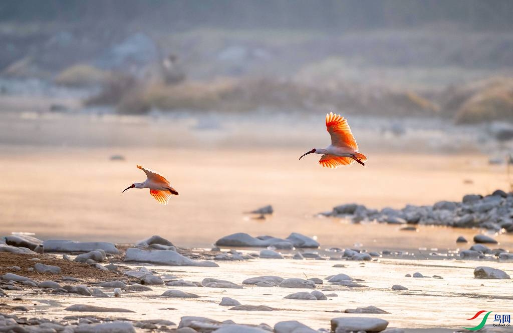 DSC_8094 ����-Exposure.jpg