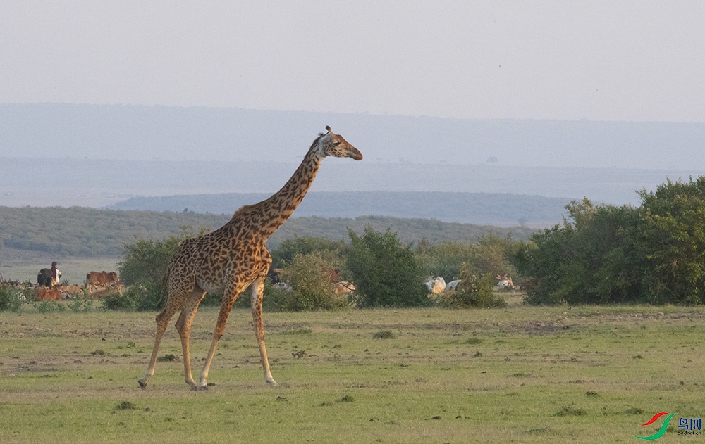 ����¹ (9).jpg