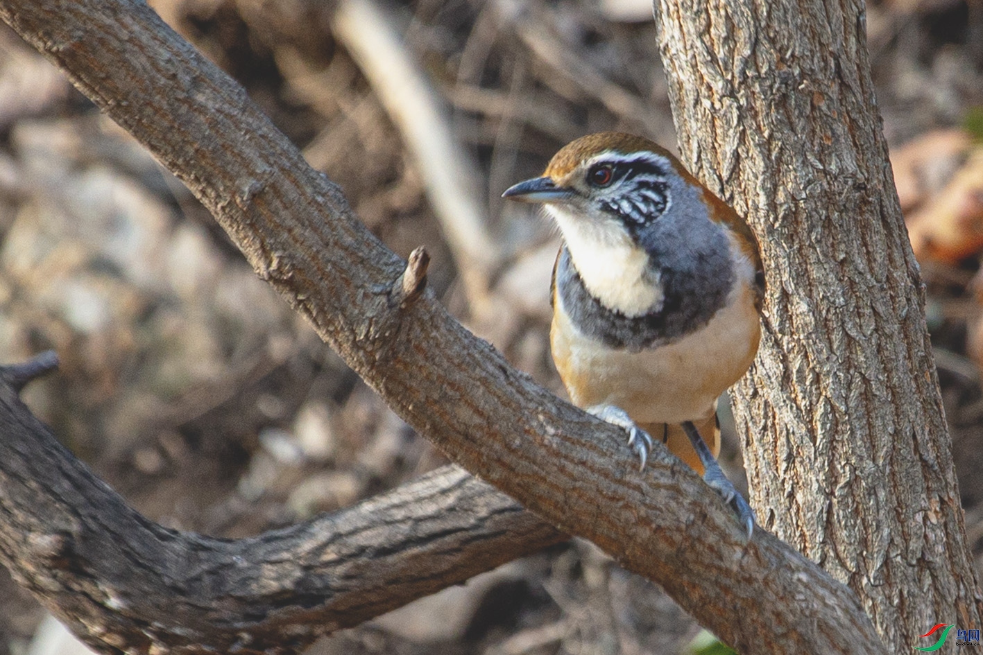 _MG_4690 ����.jpg