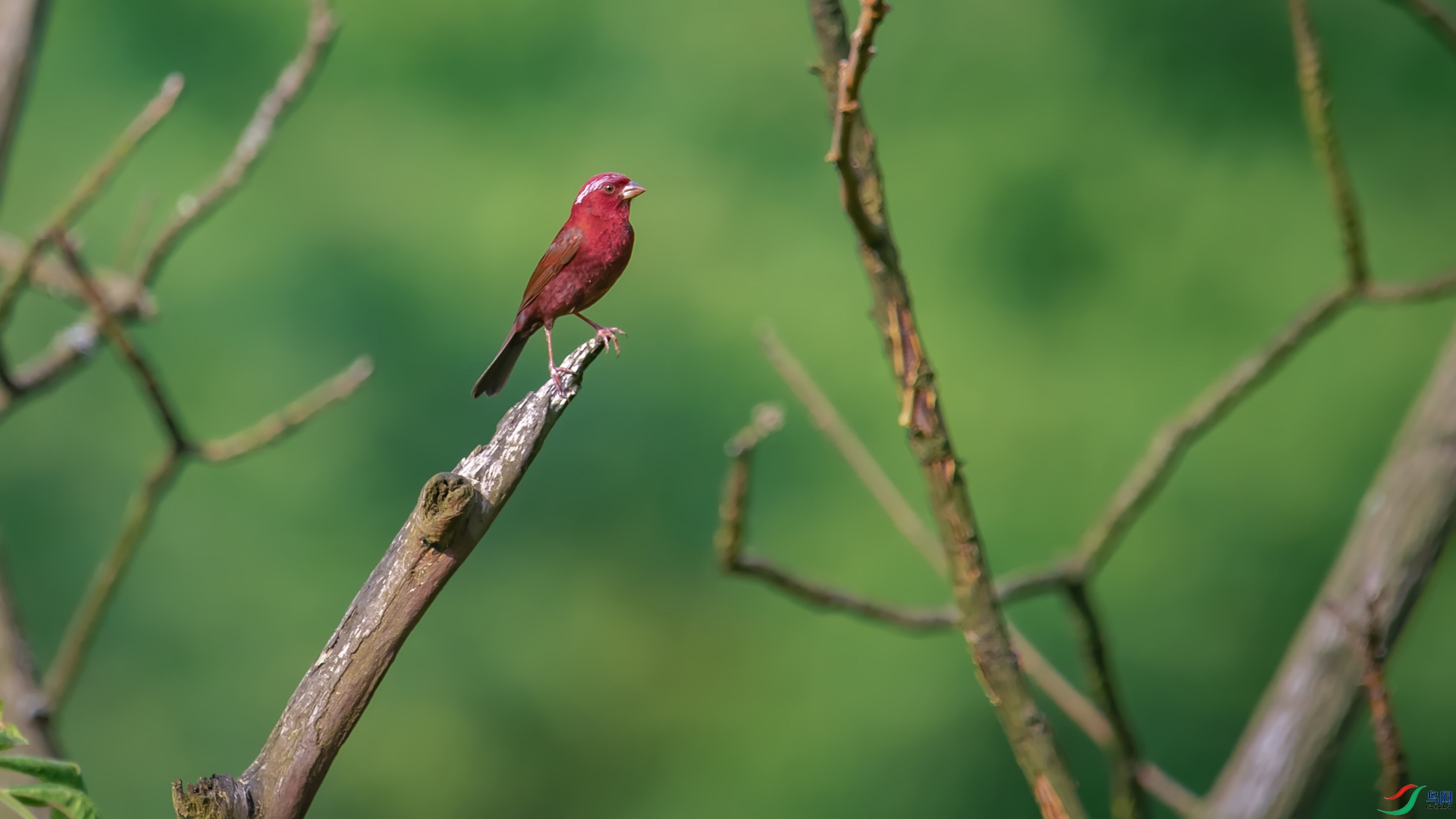 DSC_9808-1-8.jpg