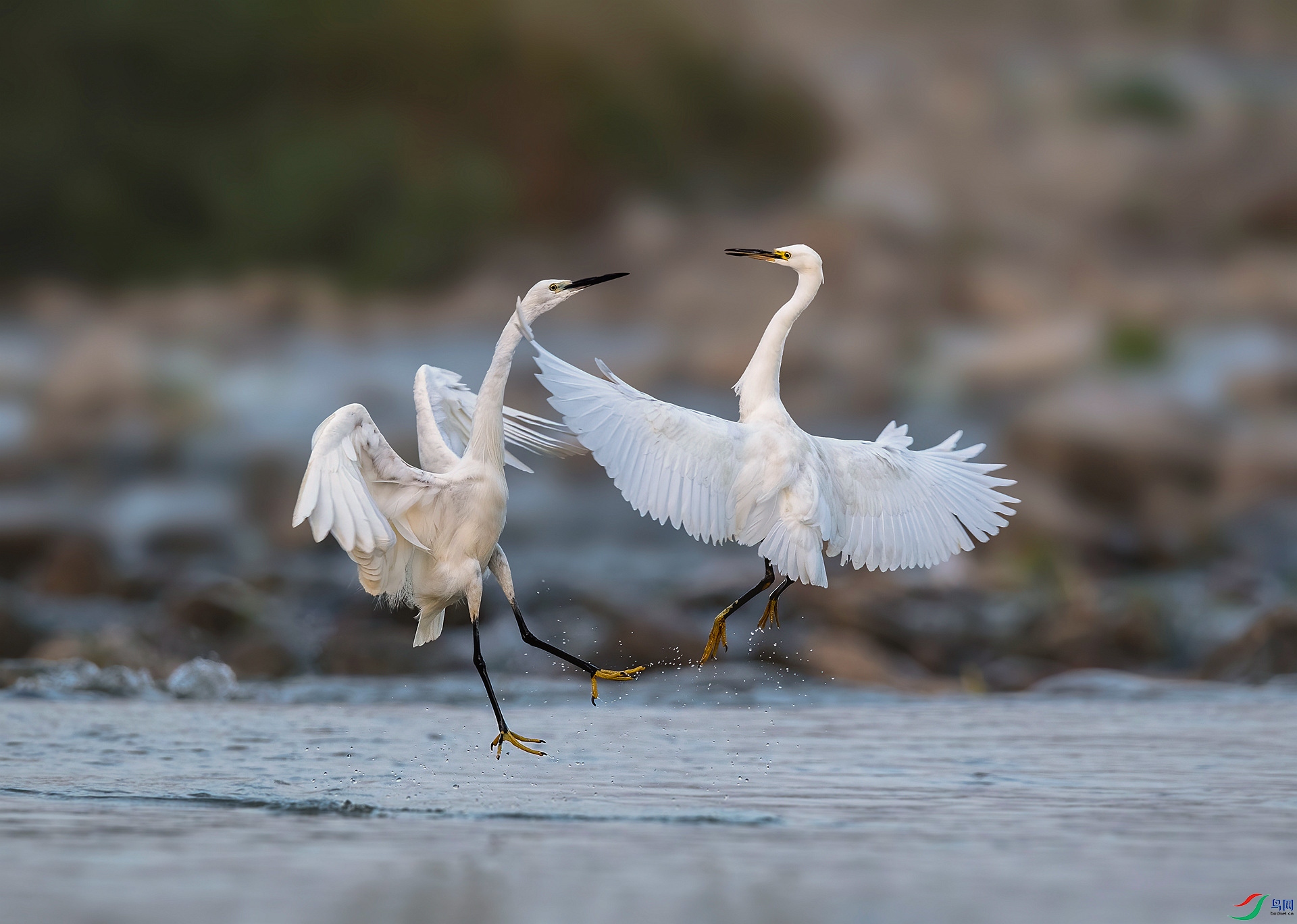 DSC_8936 ����_���� ����.jpg