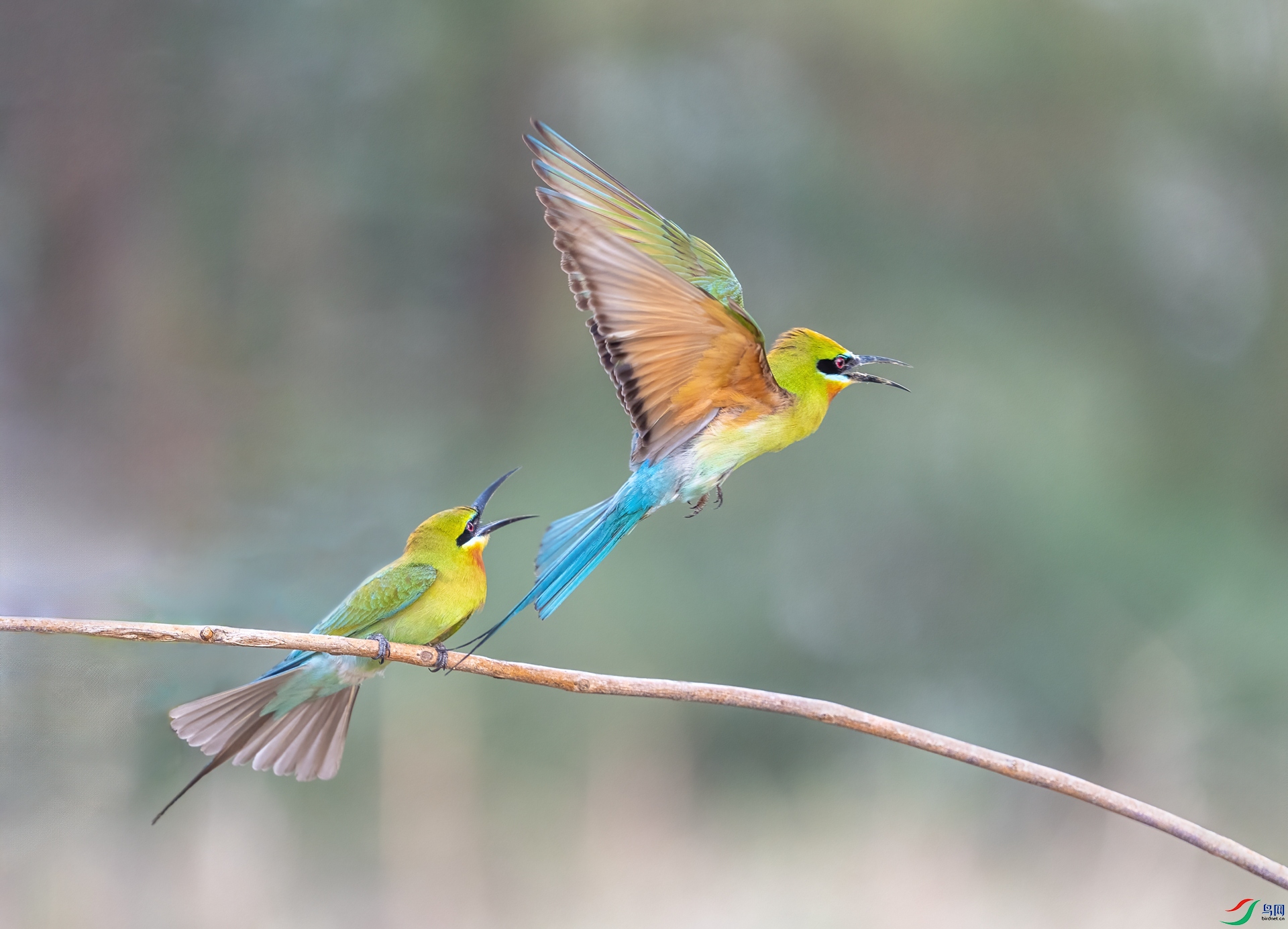 DSC_1499_1.jpg