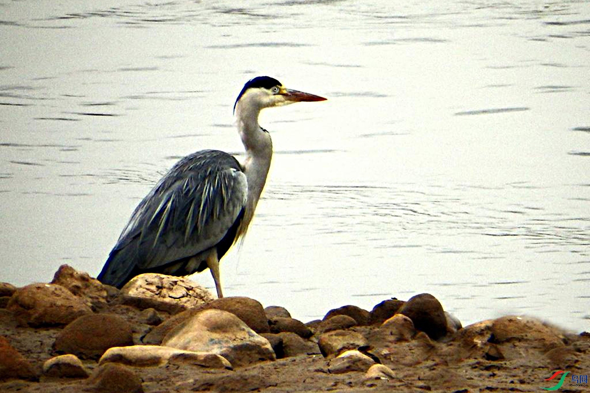IMG_6516.jpg