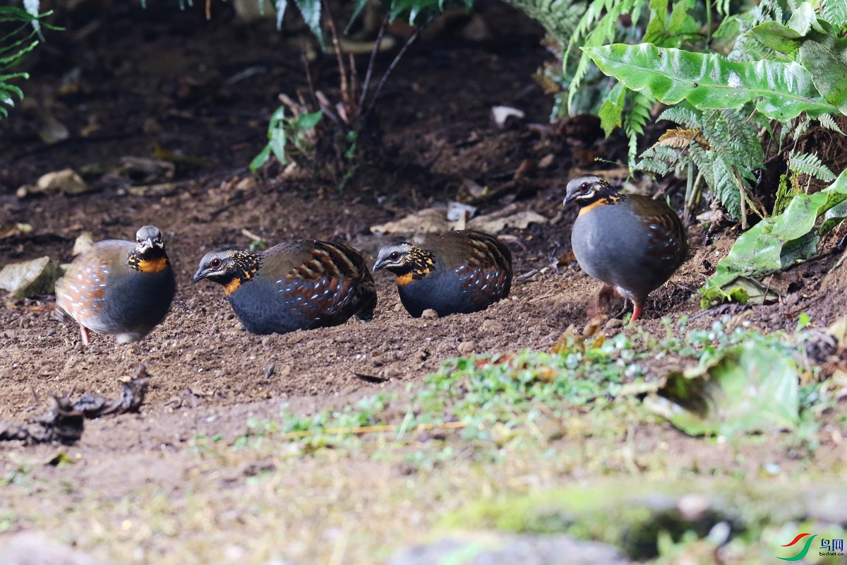 ���� 0F4A2347.JPG