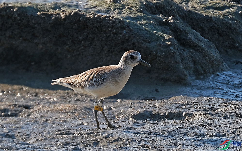 DSCF7377.1.jpg