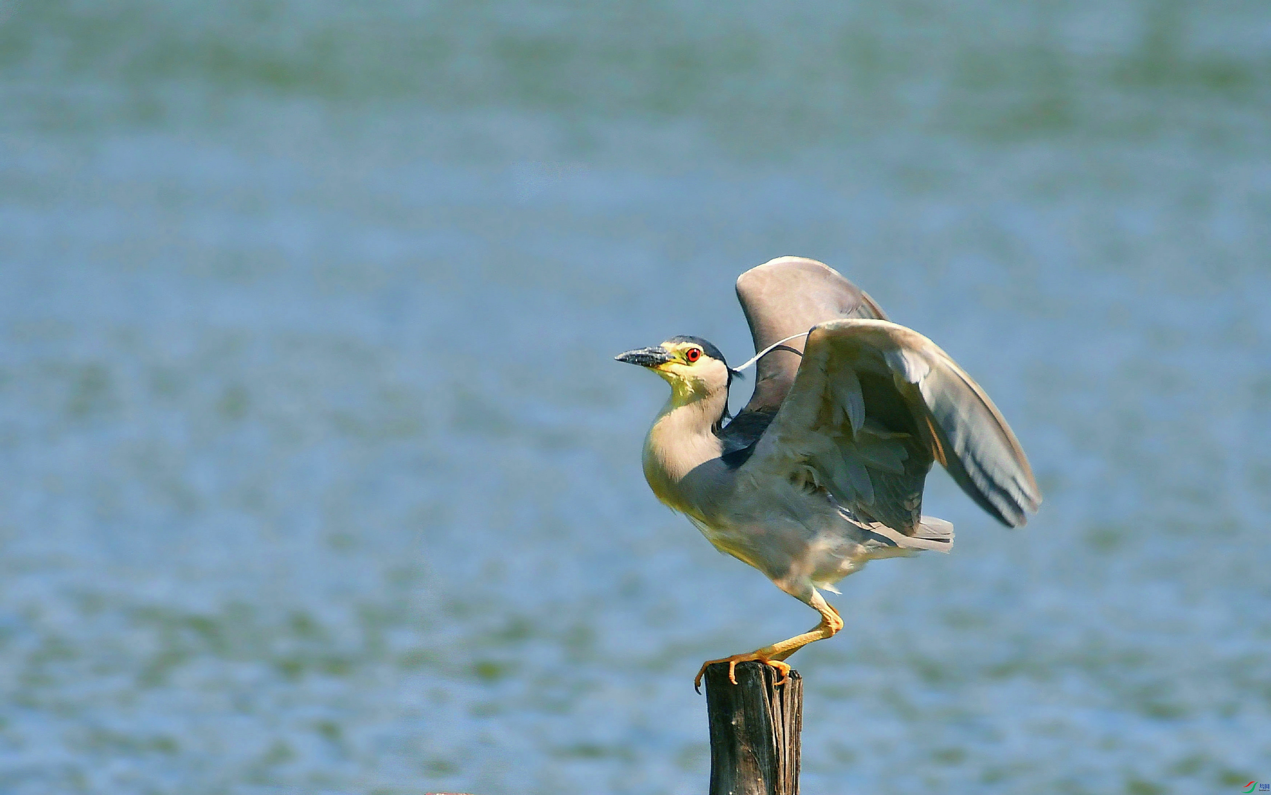 DSC_4094.JPG