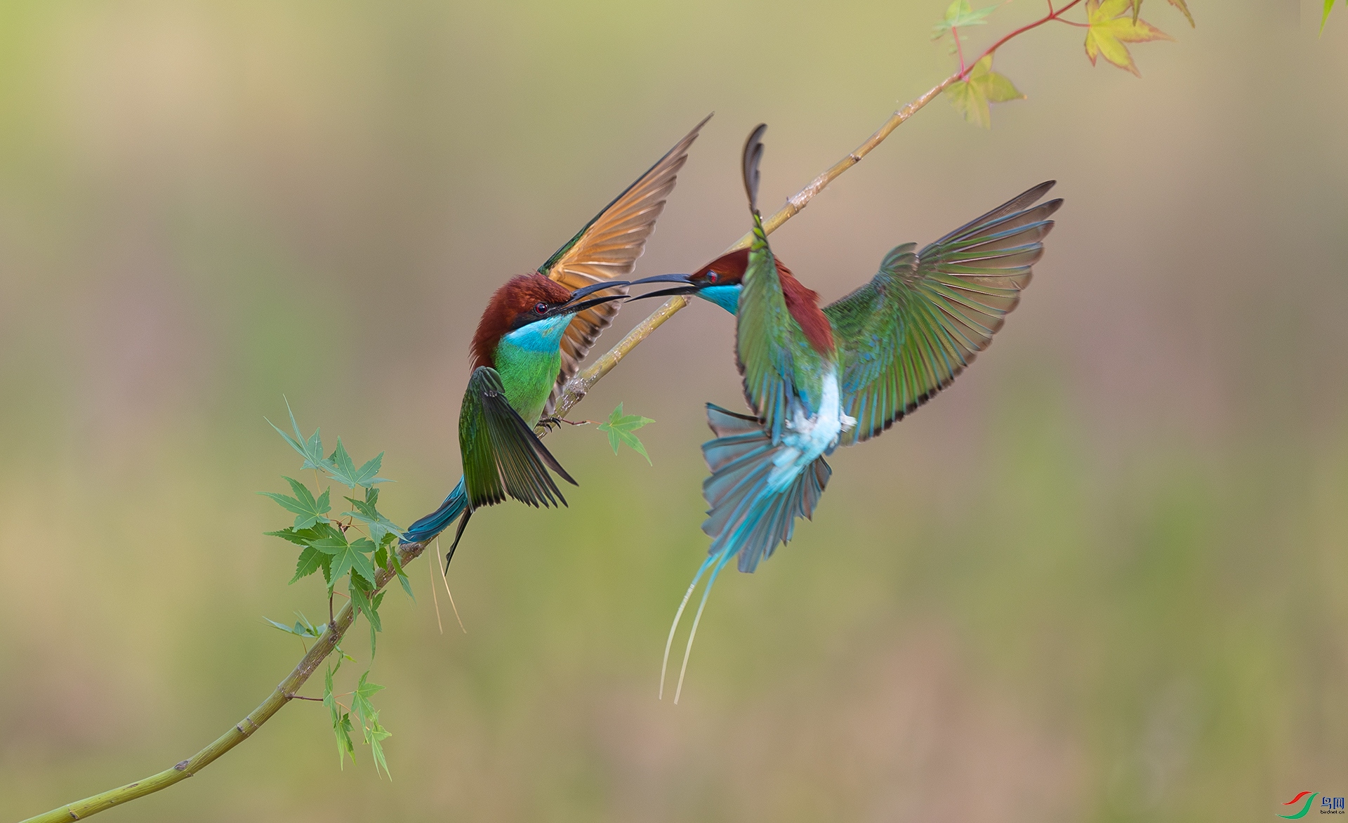 ����DSC_9676.jpg