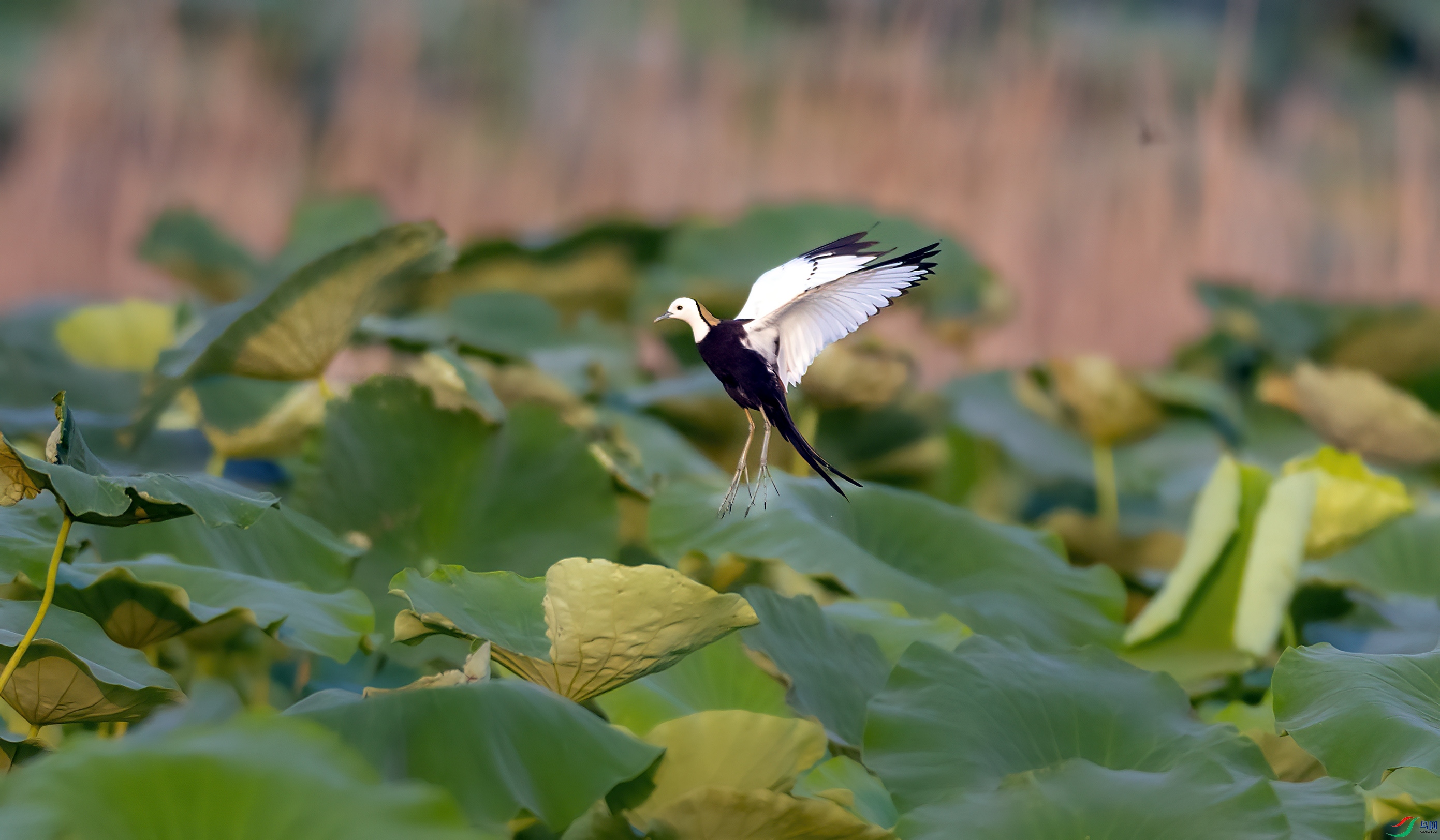 1I3A7174 ����.jpg