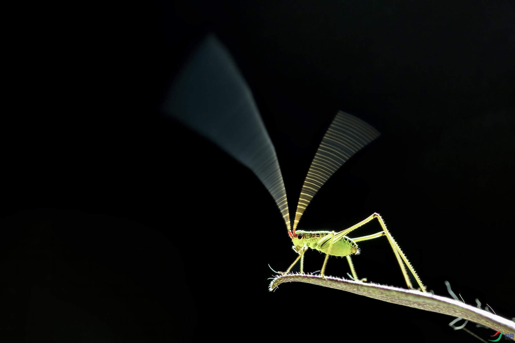 5A7A3975 ���� 2.jpg