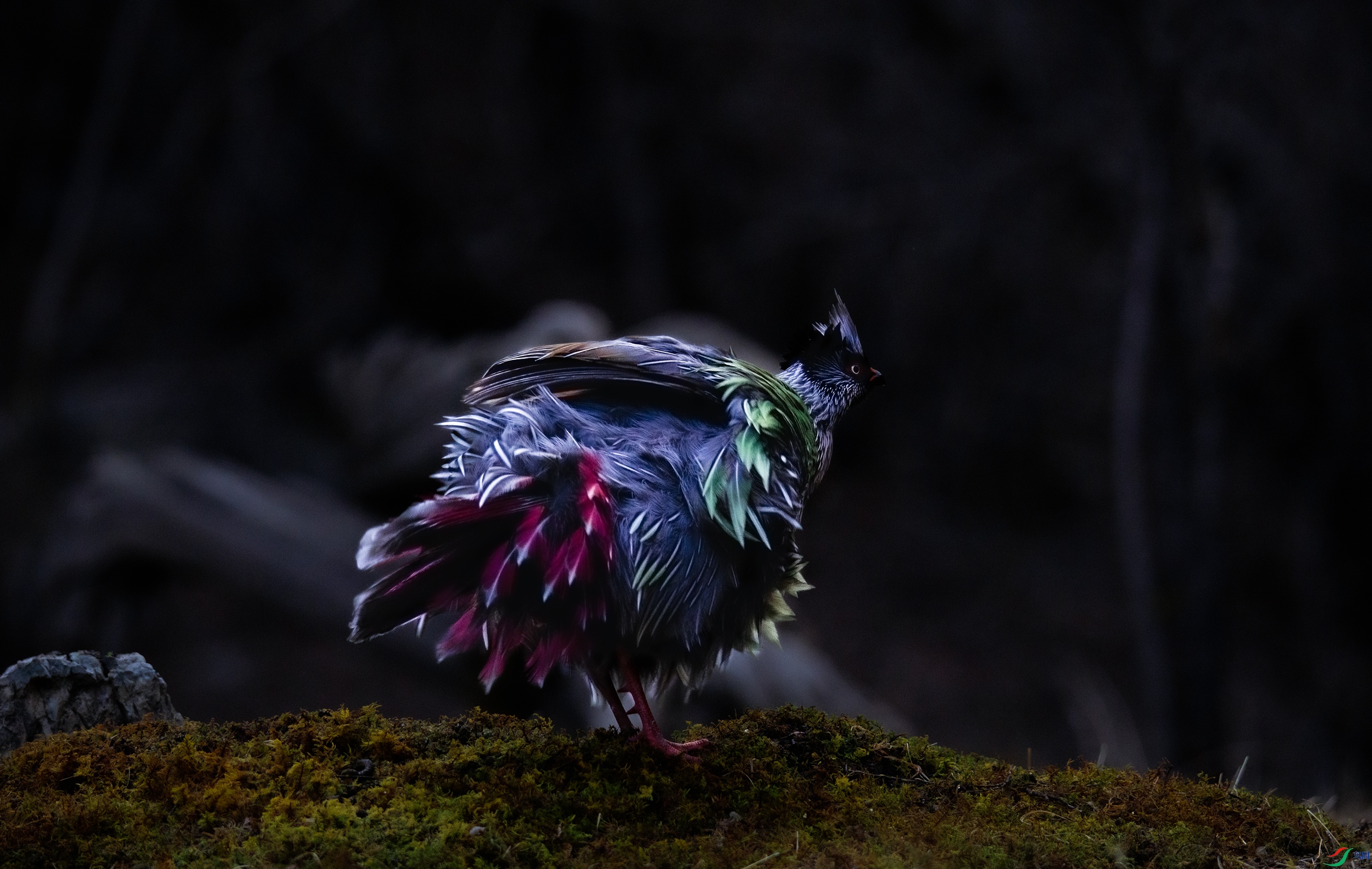 000A4792 ��77777.jpg