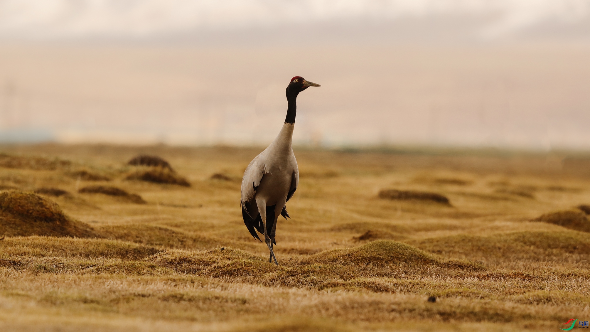 000A8721 ����7777.jpg