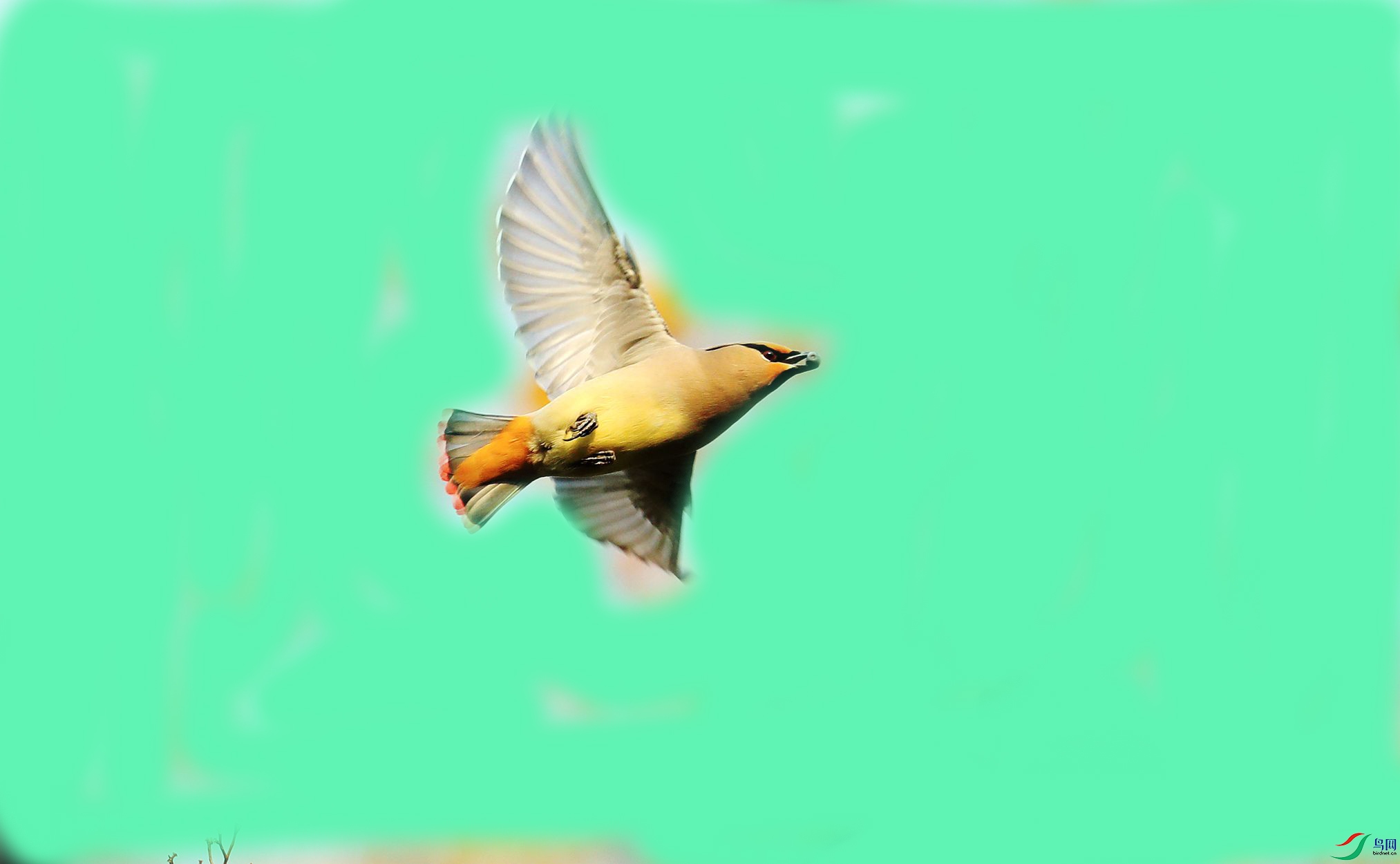 ̫ƽ��11������������������.jpg