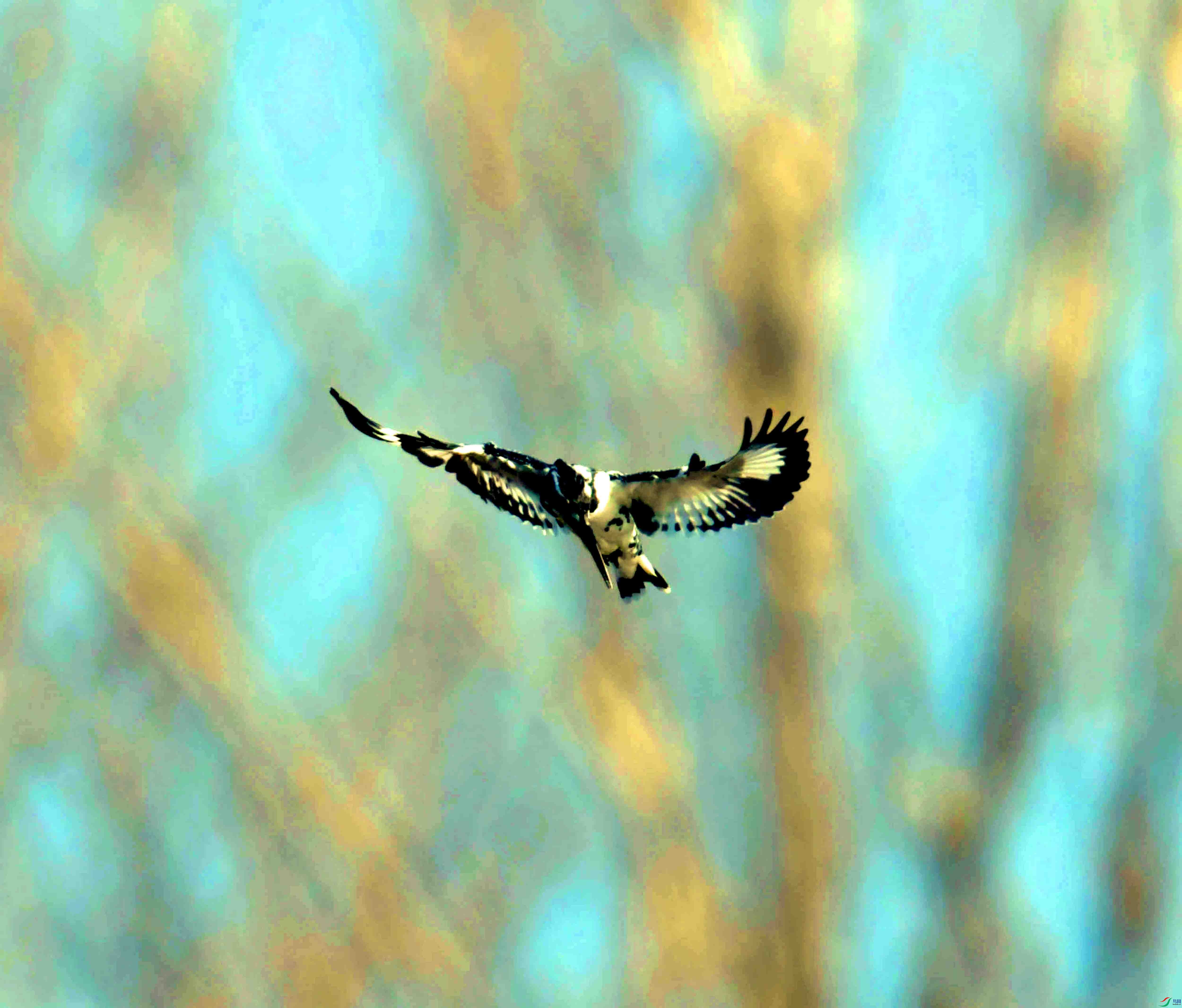 DSC_2317.JPG