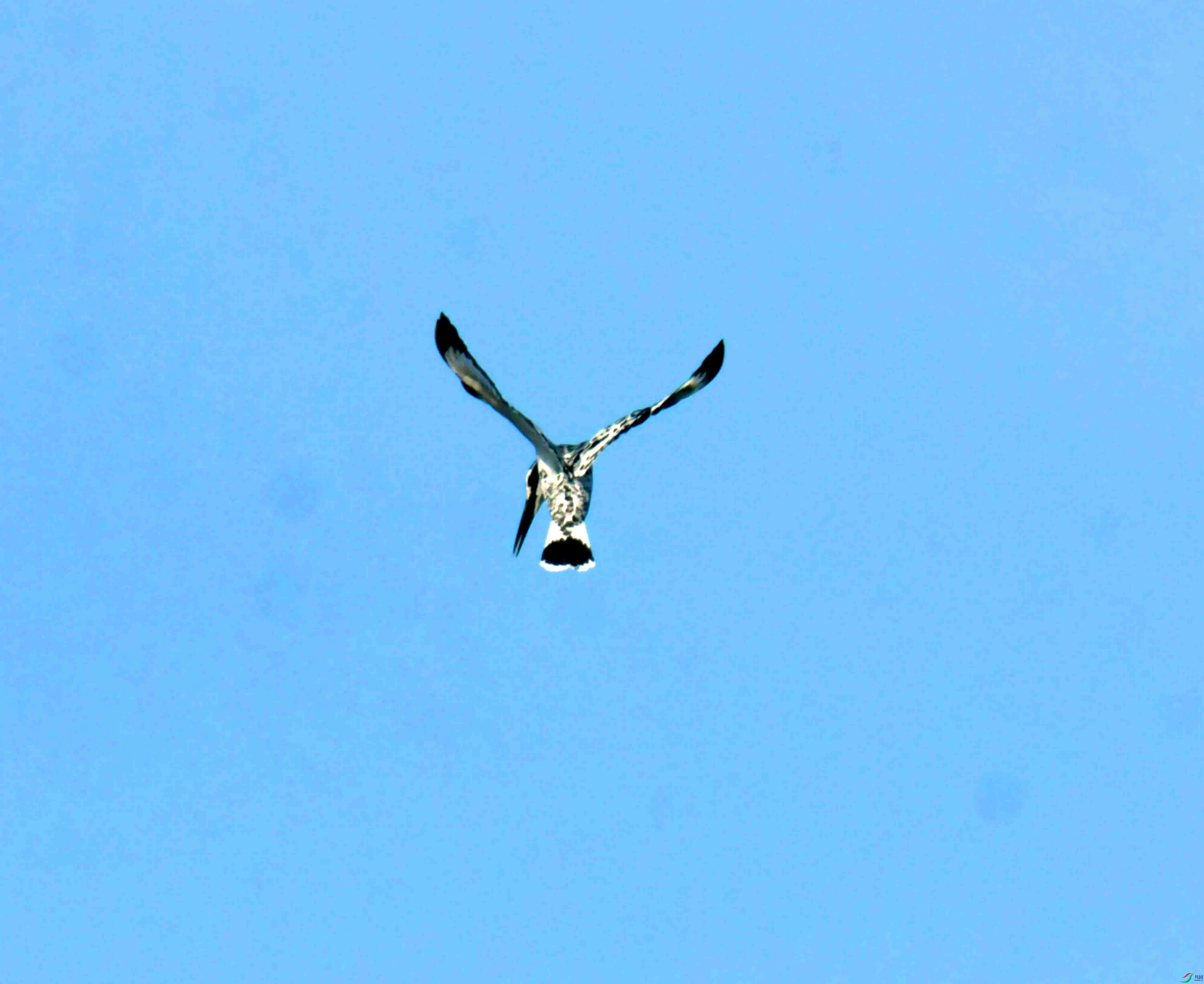 DSC_2344.JPG