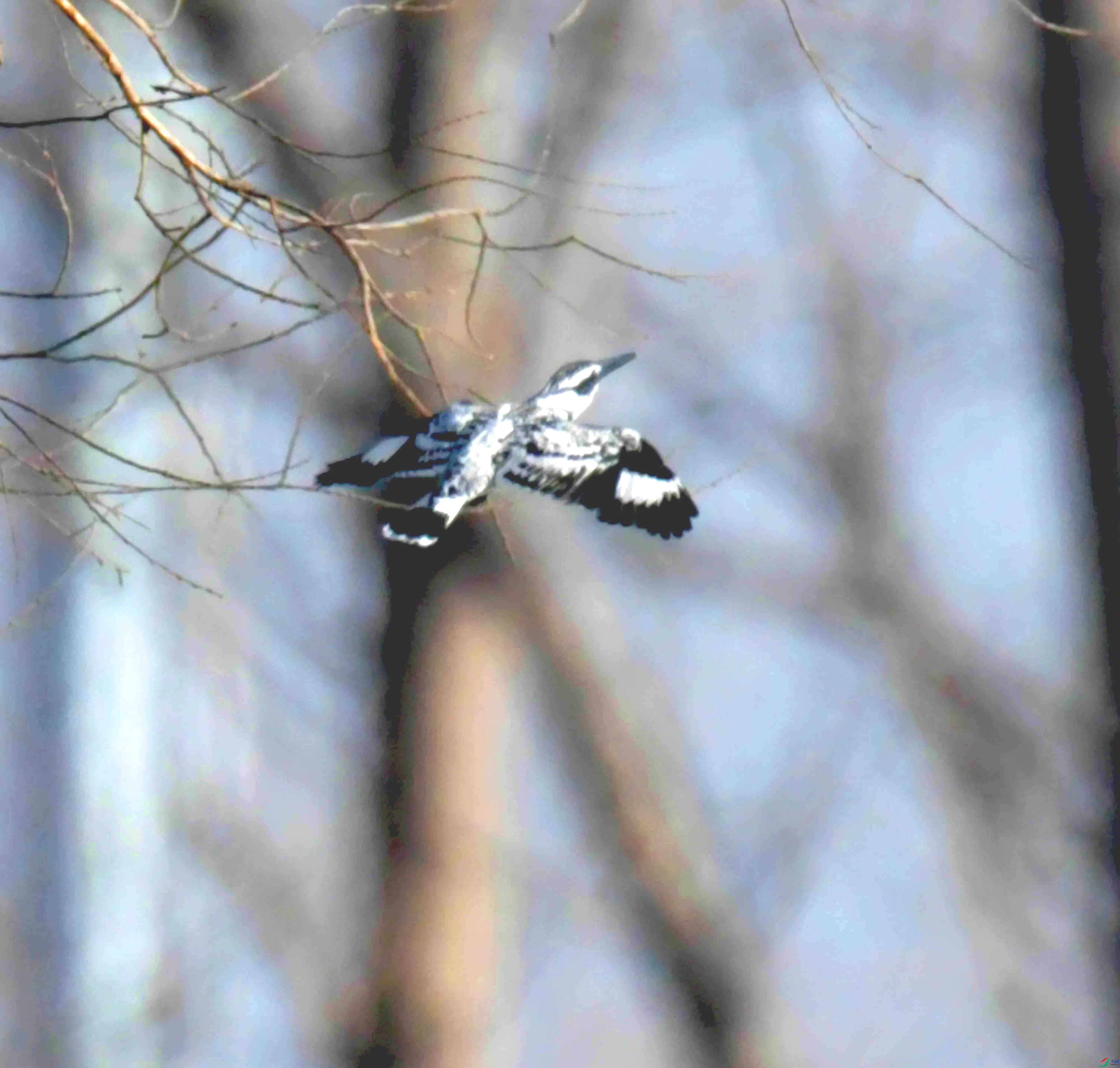 DSC_2847.JPG