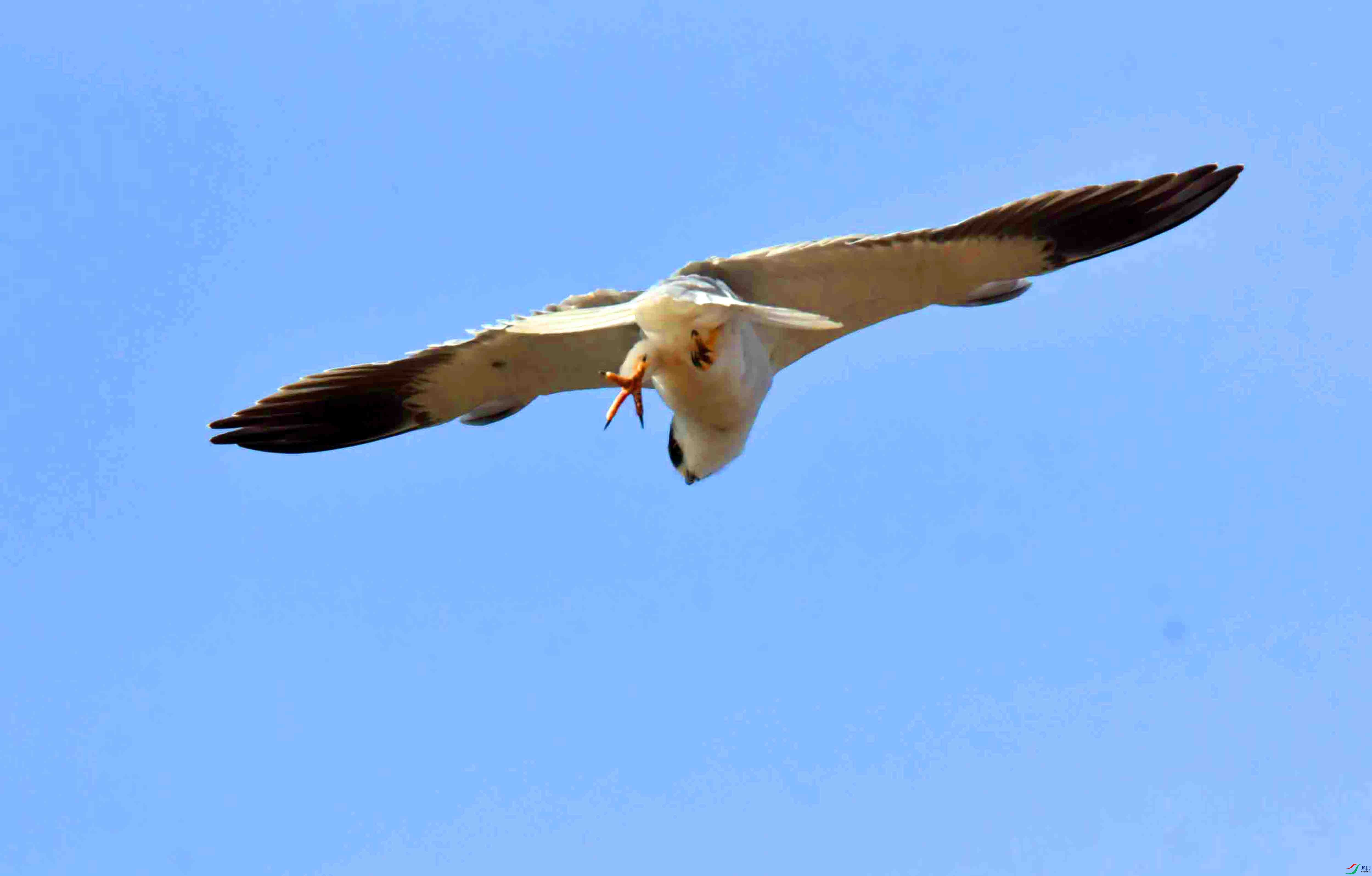 DSC_3791.JPG