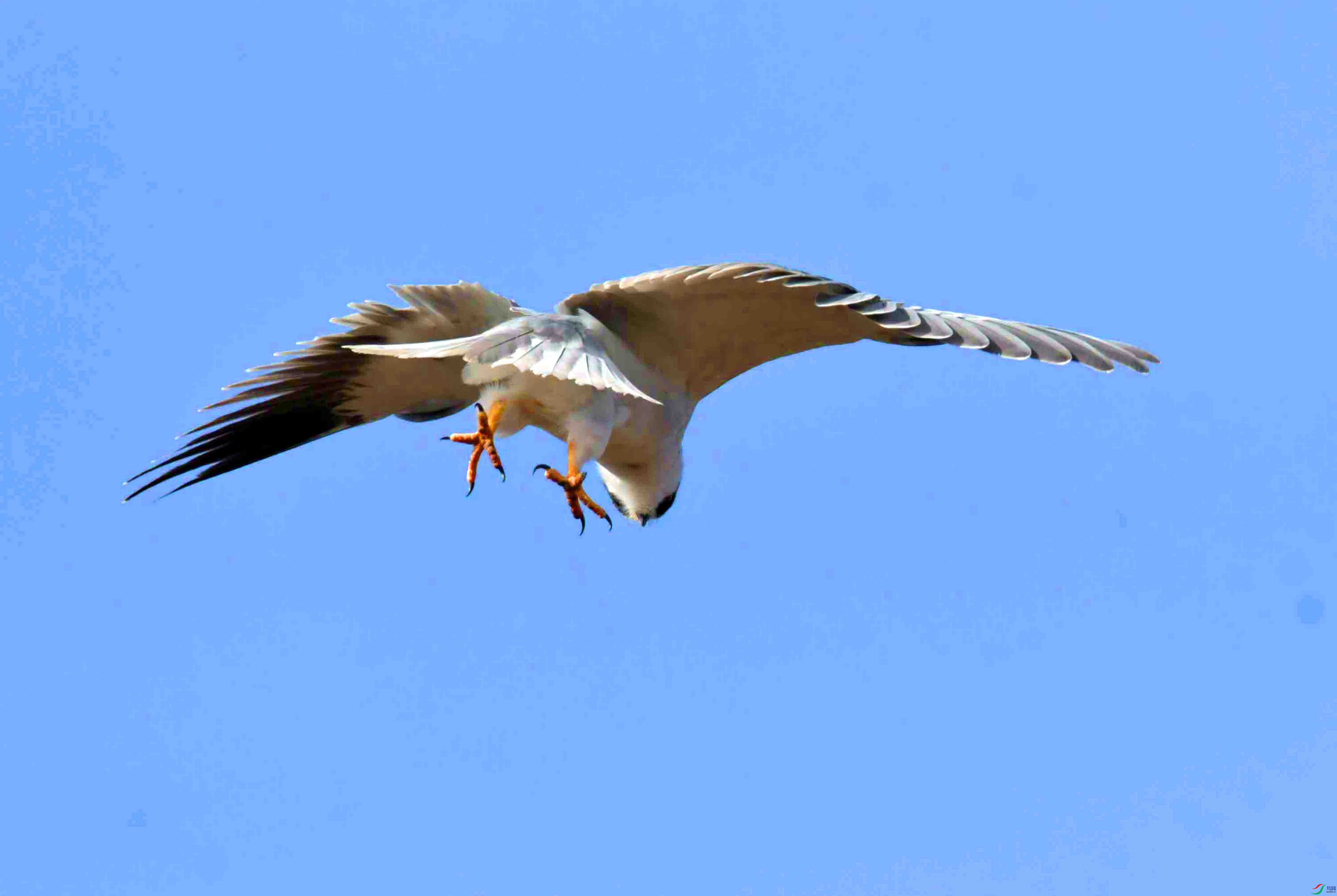 DSC_3792.JPG