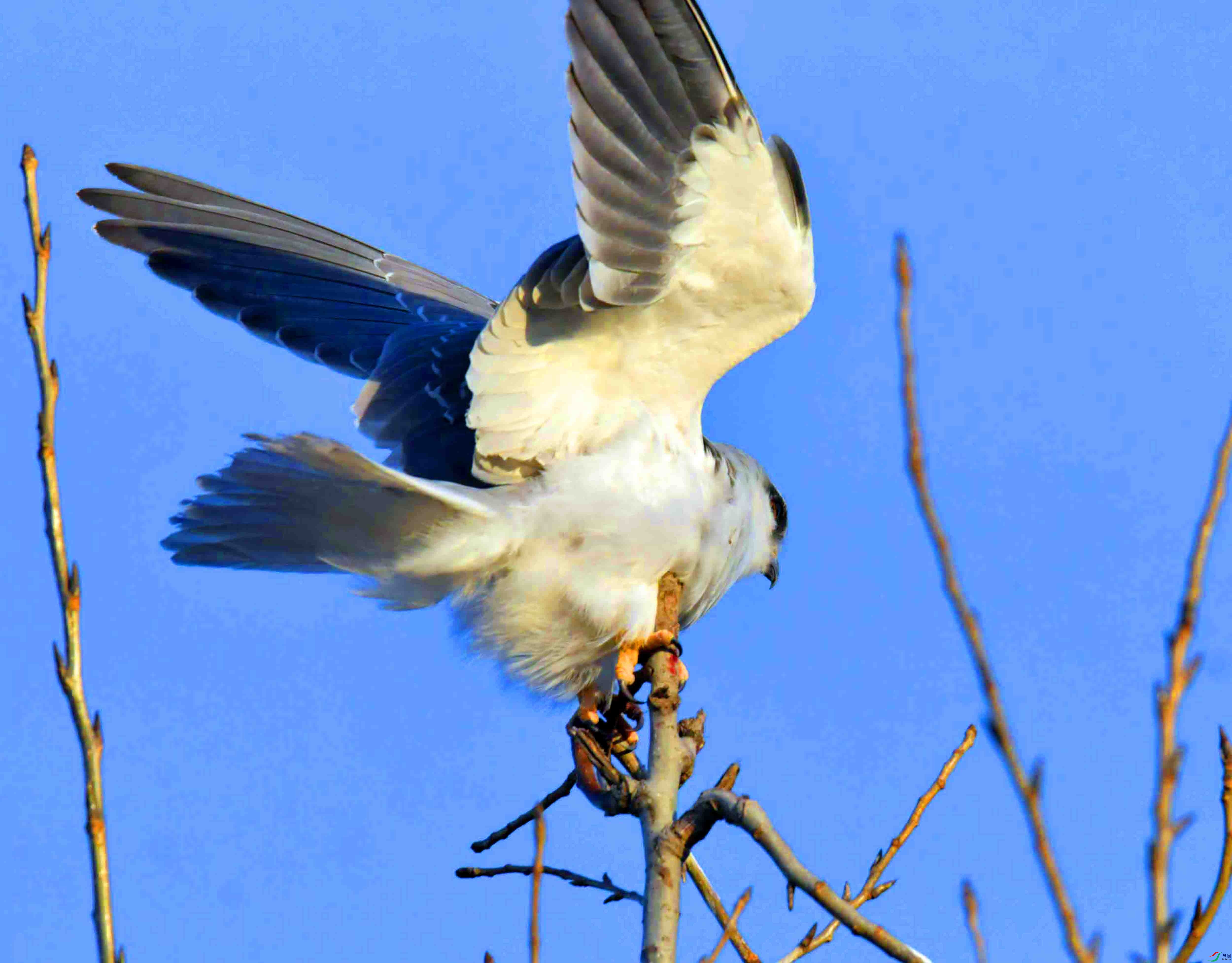 DSC_3963.JPG