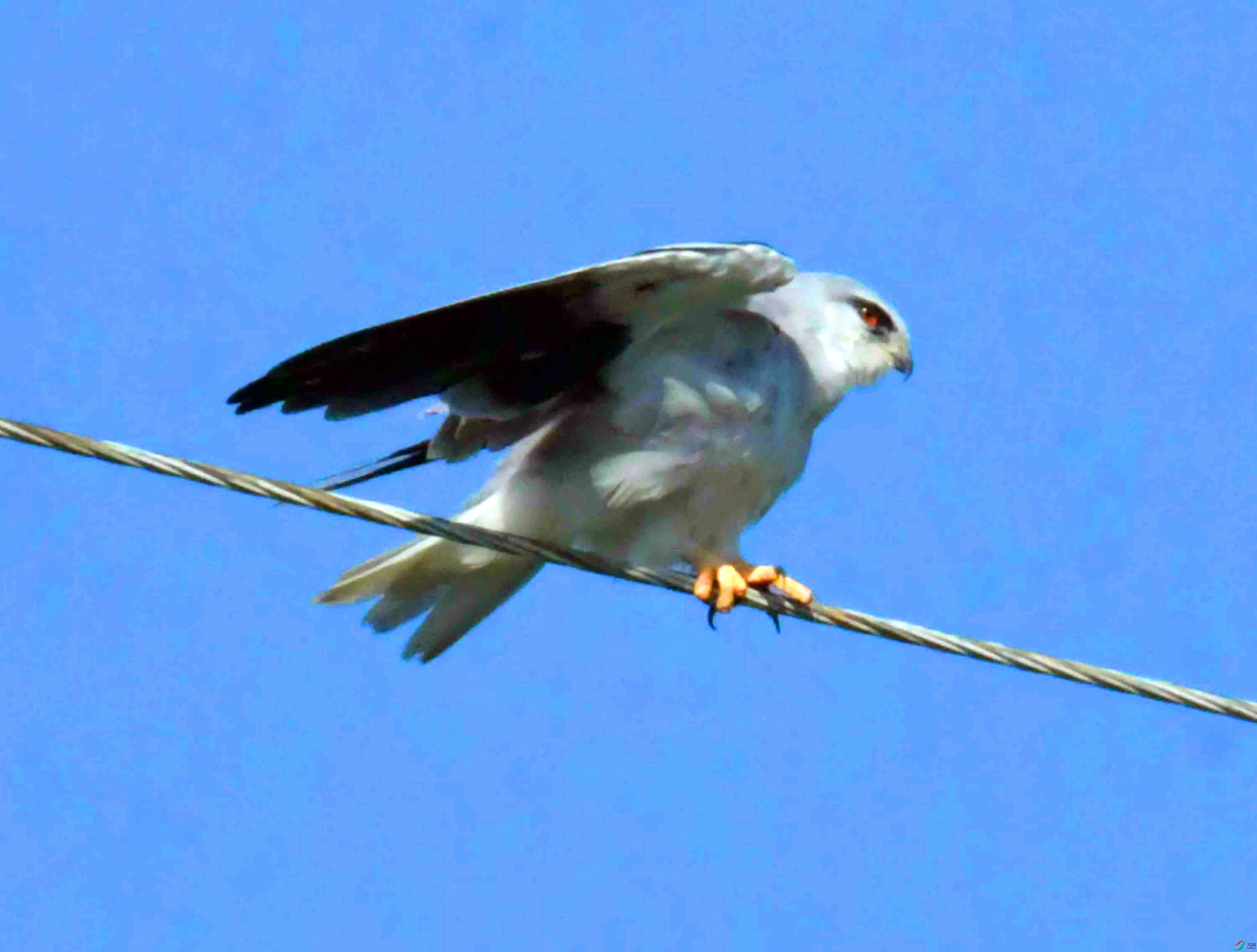 DSC_5878.JPG
