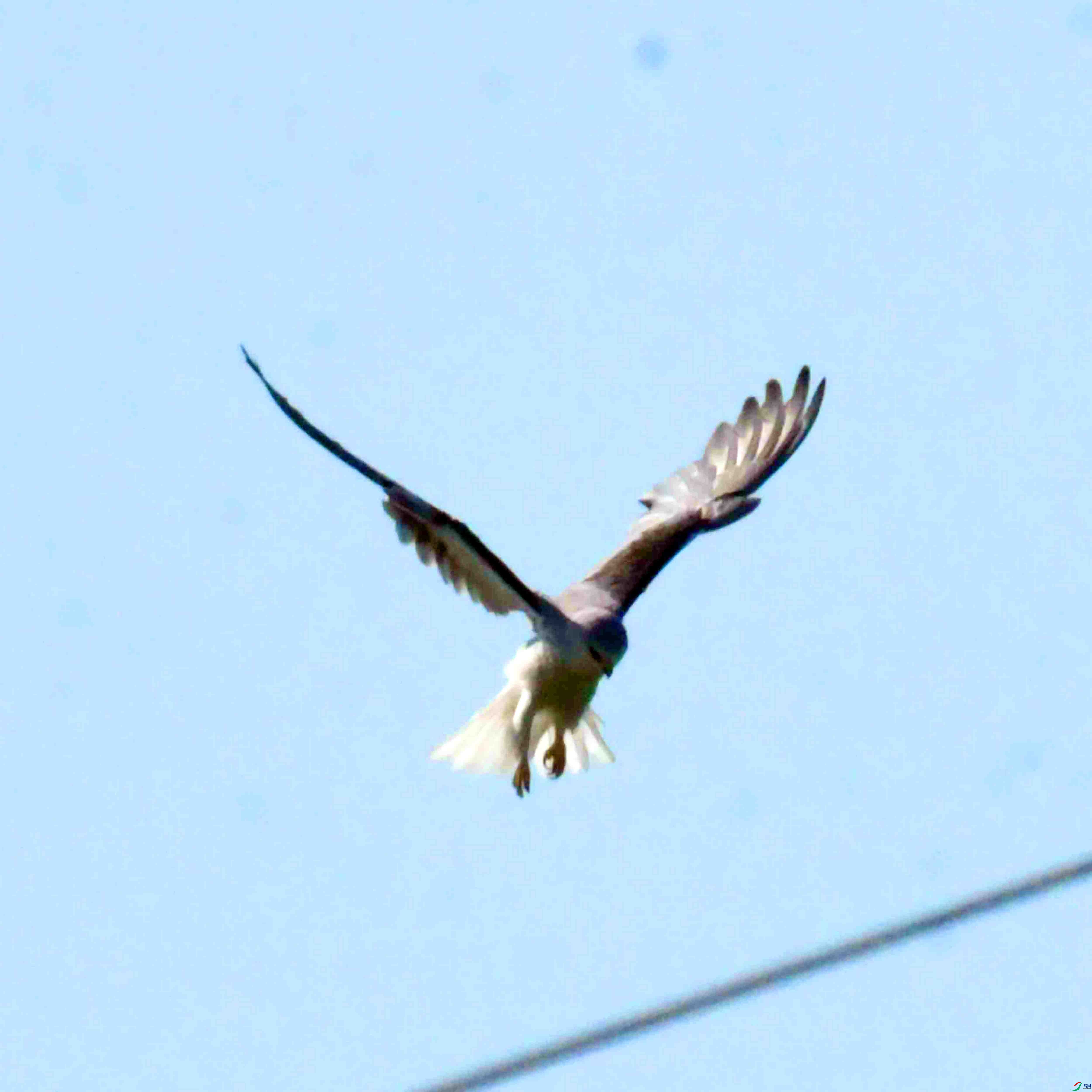 DSC_5901.JPG