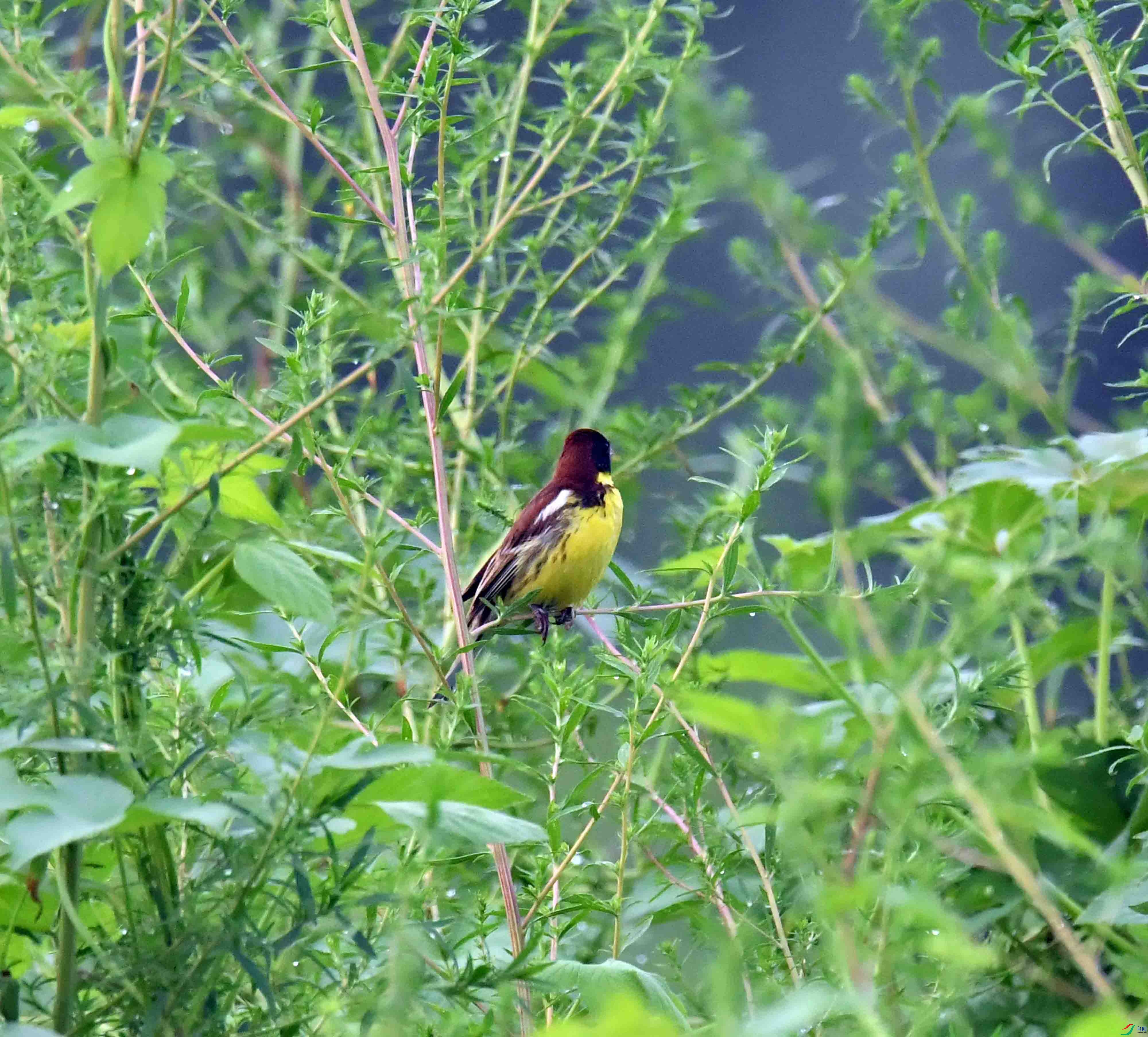 DSC_0451.JPG
