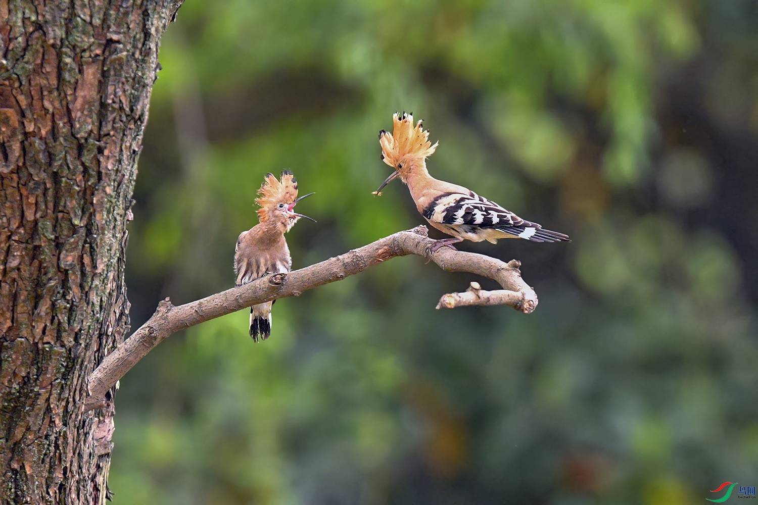 DSC_4364aa6.jpg