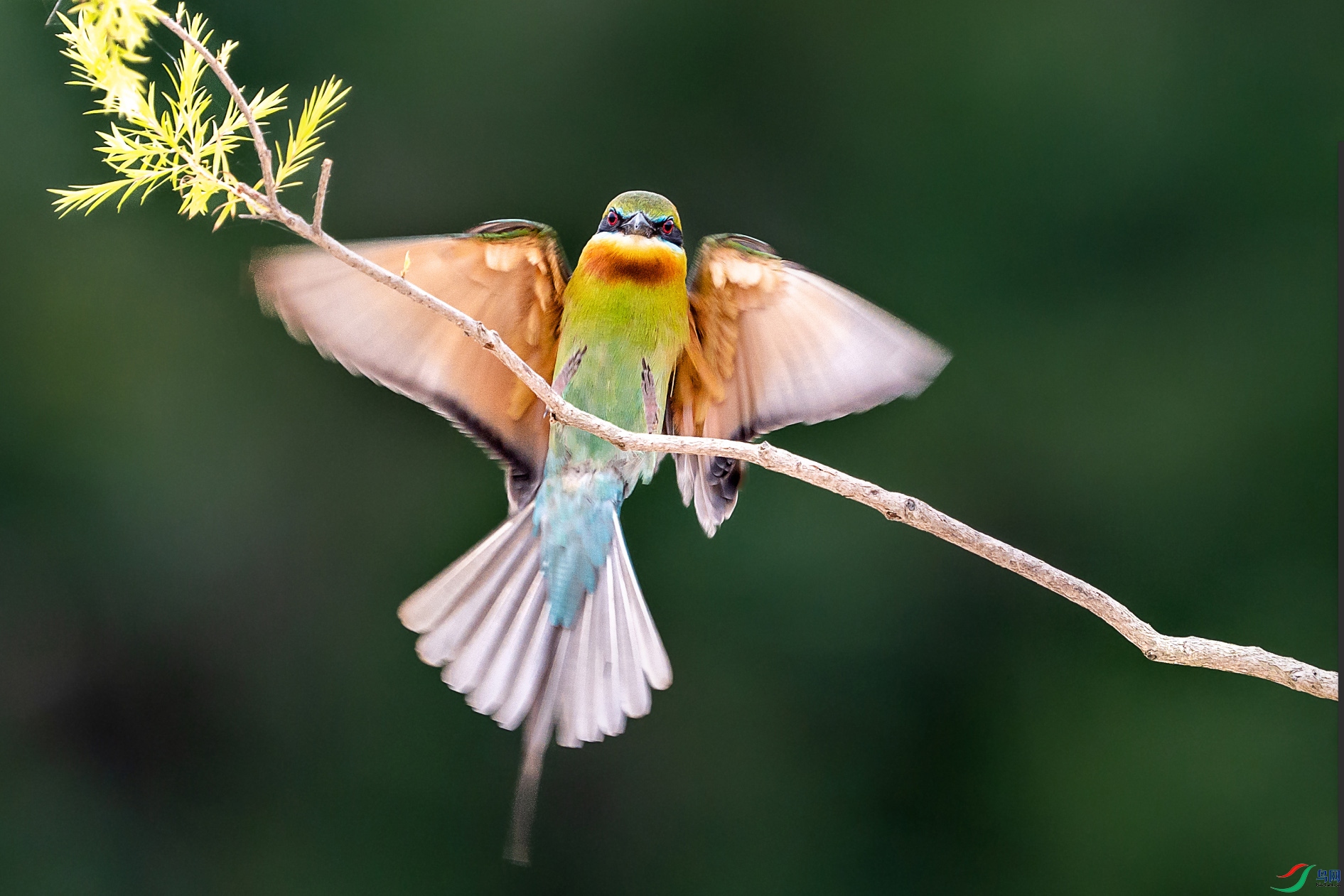 16d6c40e2a3b61650f0eb8c9d6bdcaa ����.jpg