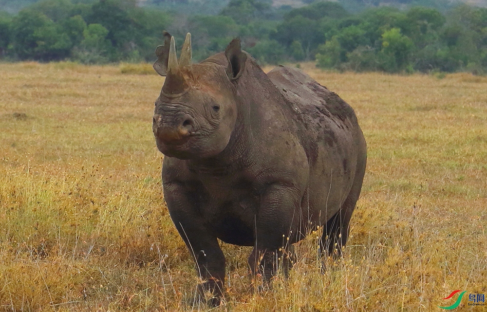 ����Ϭţ (2).JPG