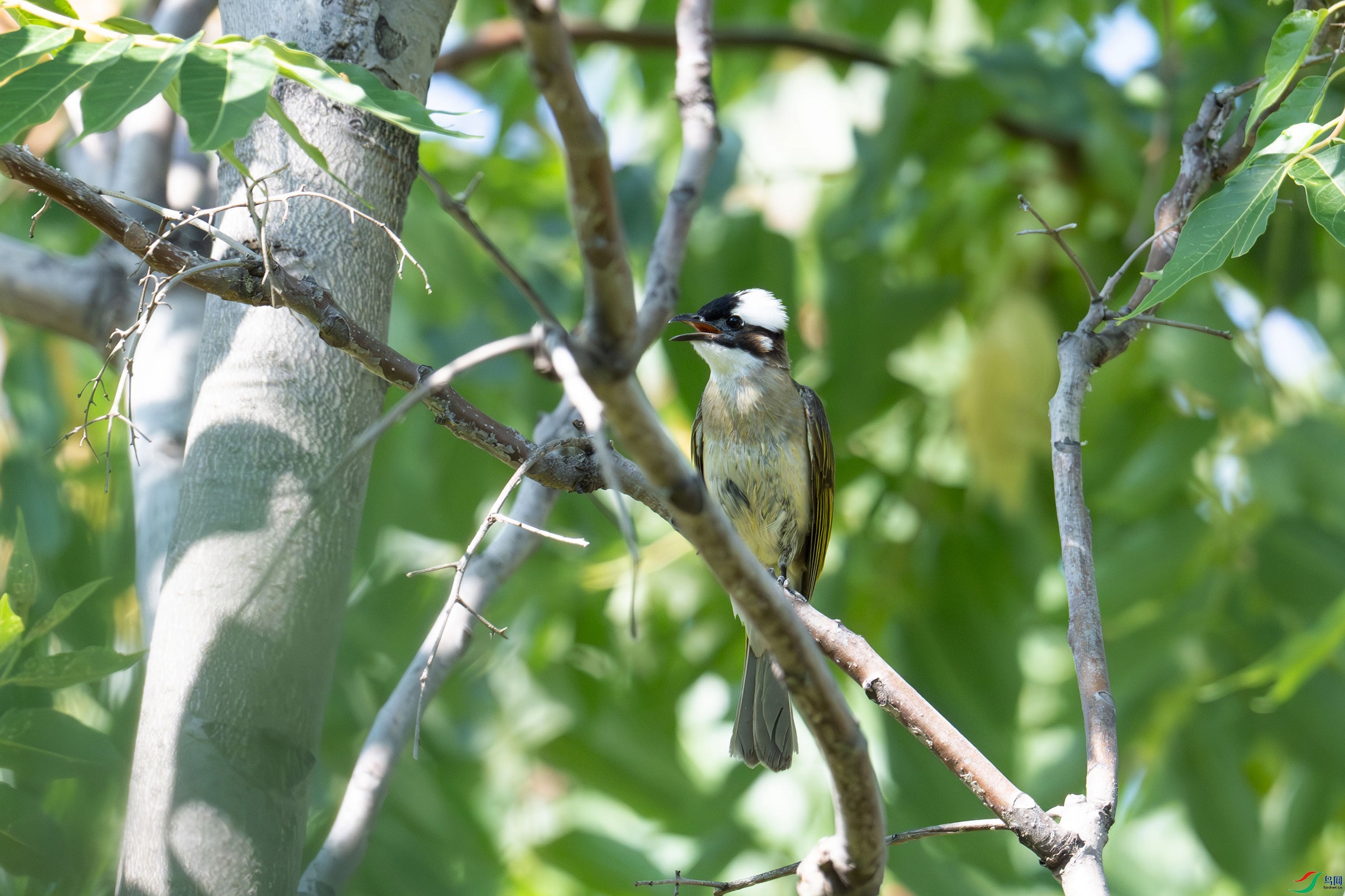 DSC_3680.jpg