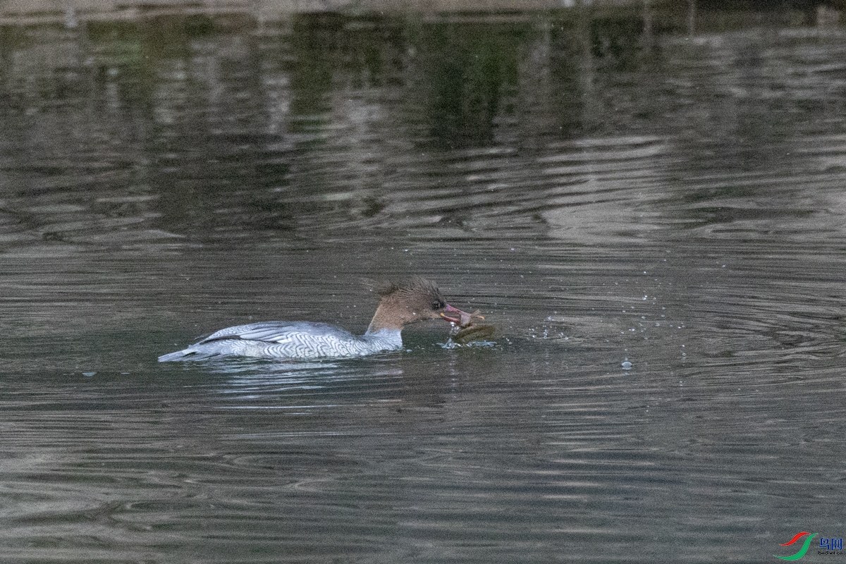 3E8A0845.jpg
