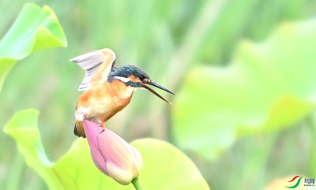 DSC_6889.JPG