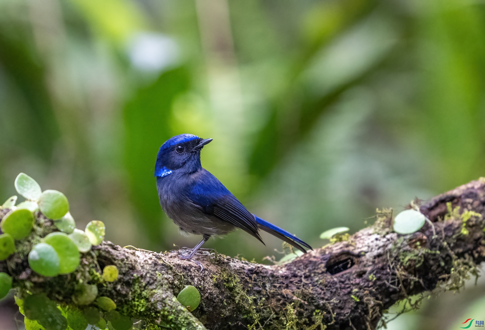 DSC_6541-1.jpg
