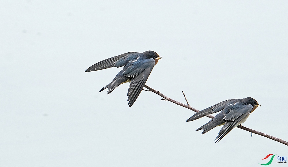 DSCF5398.1.jpg